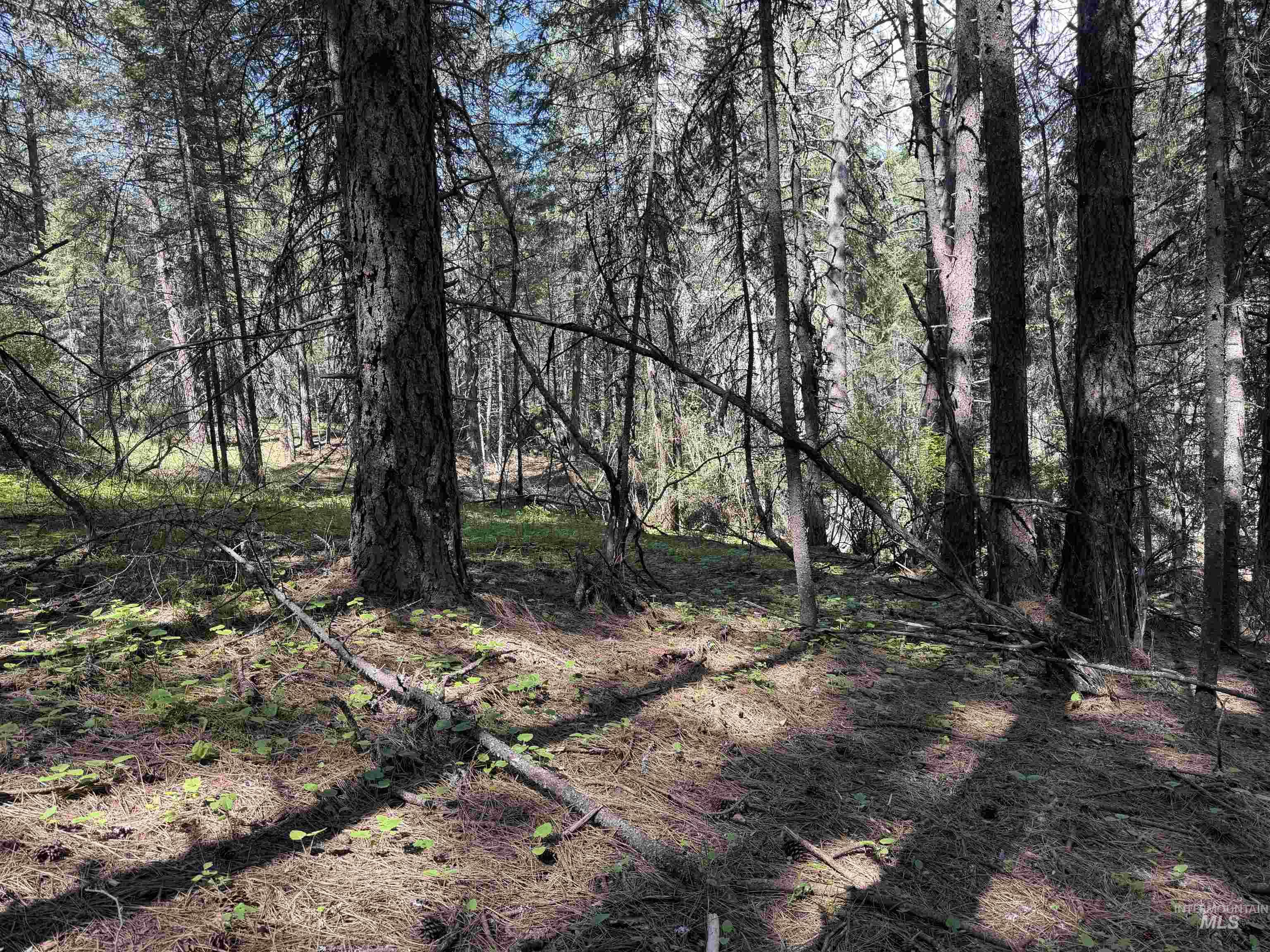 1238 O'brien Road Property Photo 50