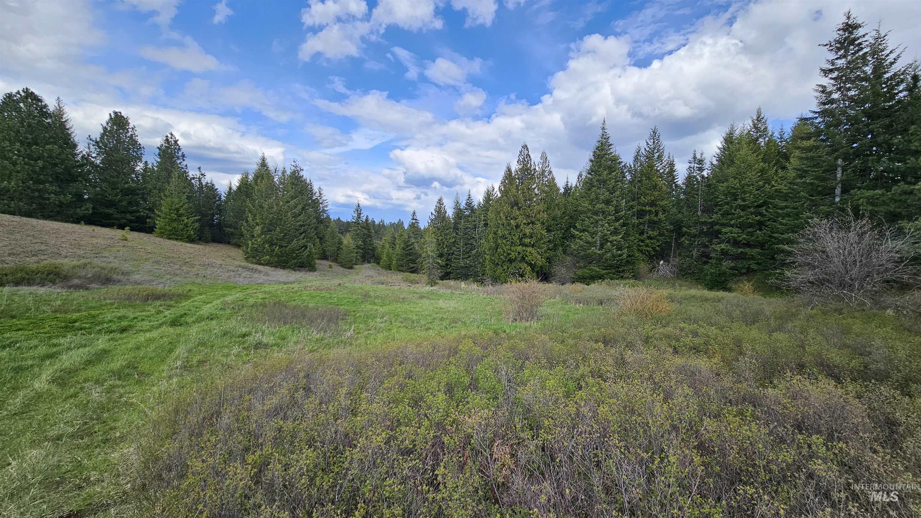 Tbd Lynx Lane Property Photo 10