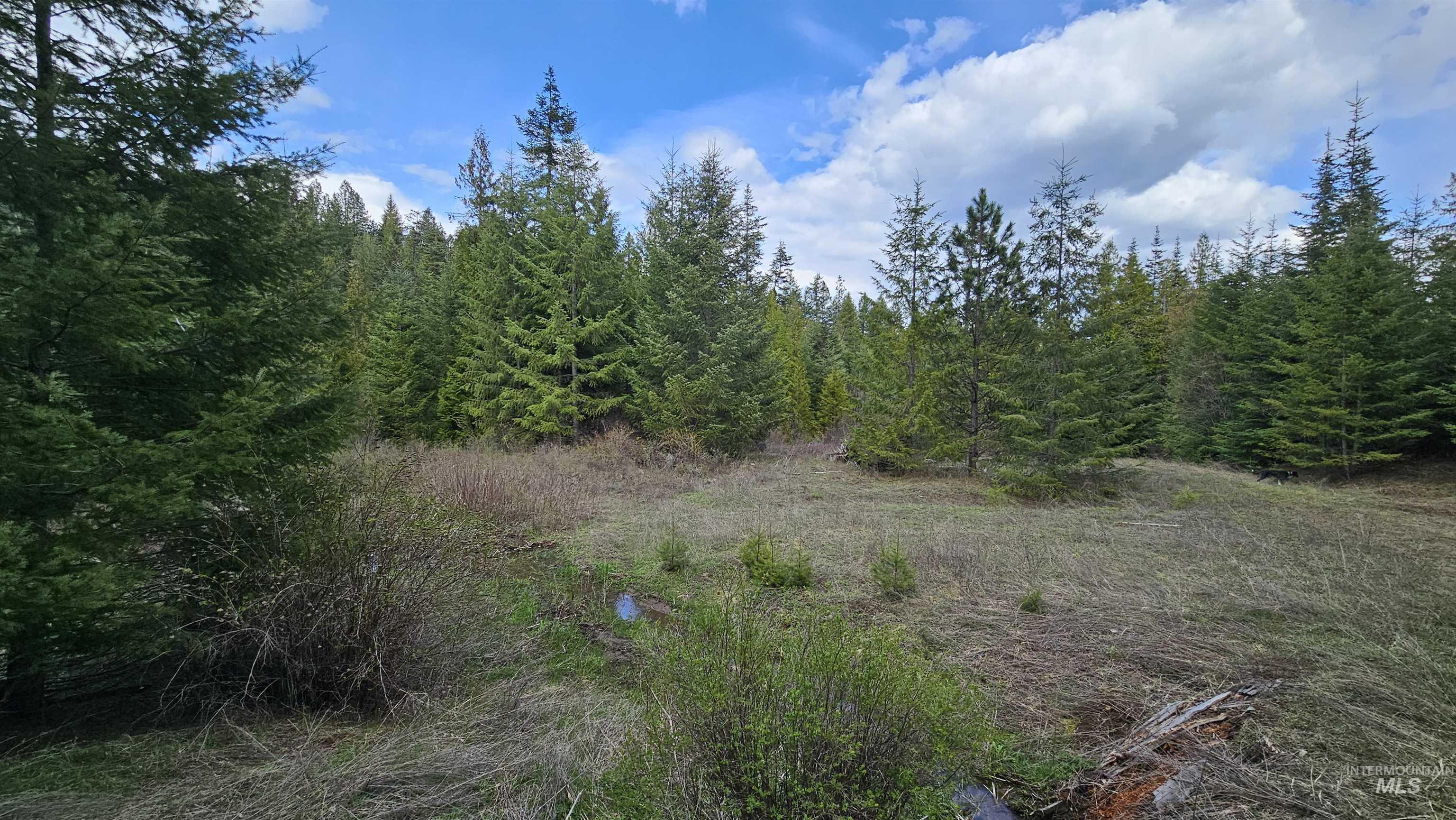 Tbd Lynx Lane Property Photo 11