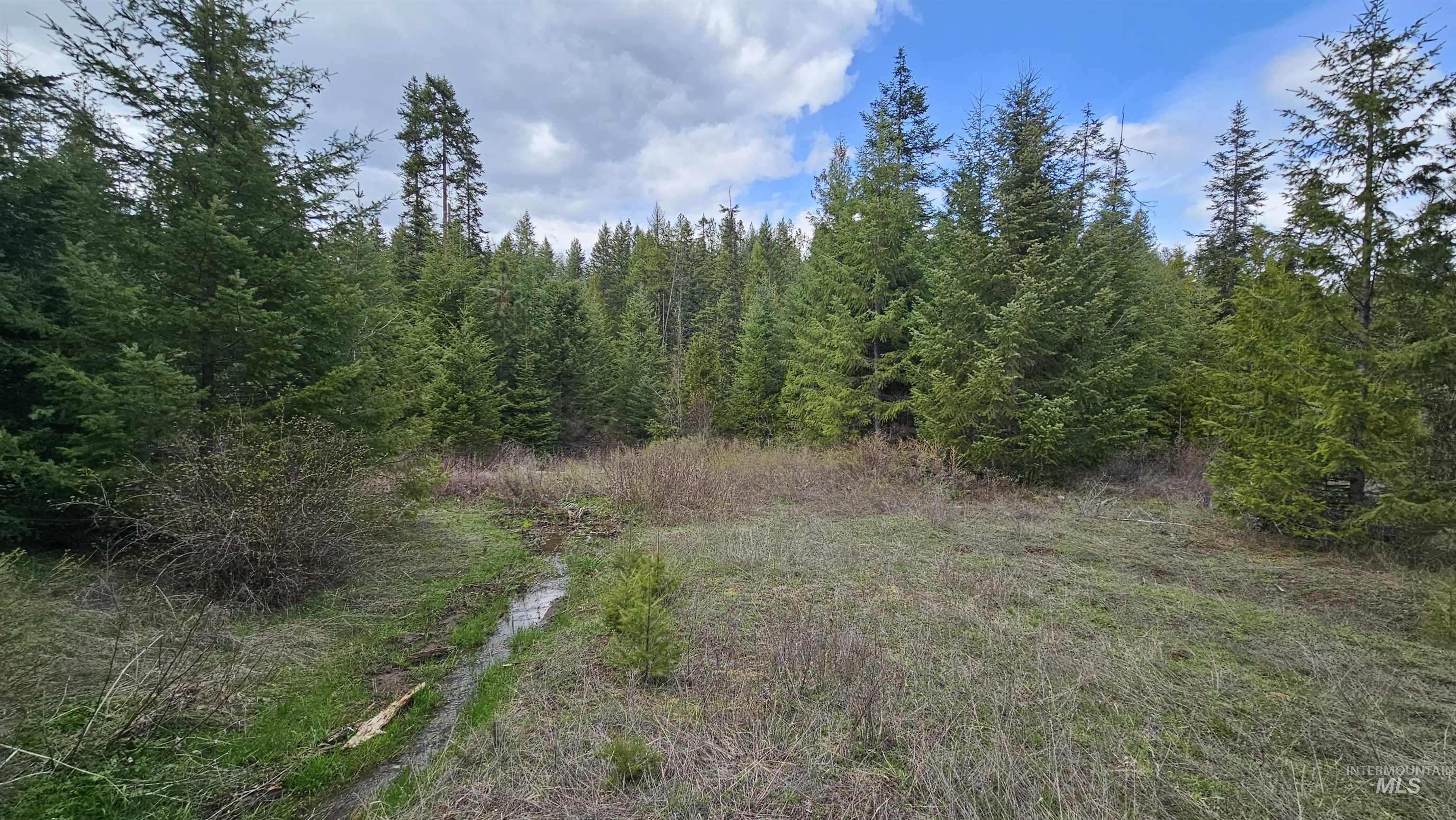 Tbd Lynx Lane Property Photo 12