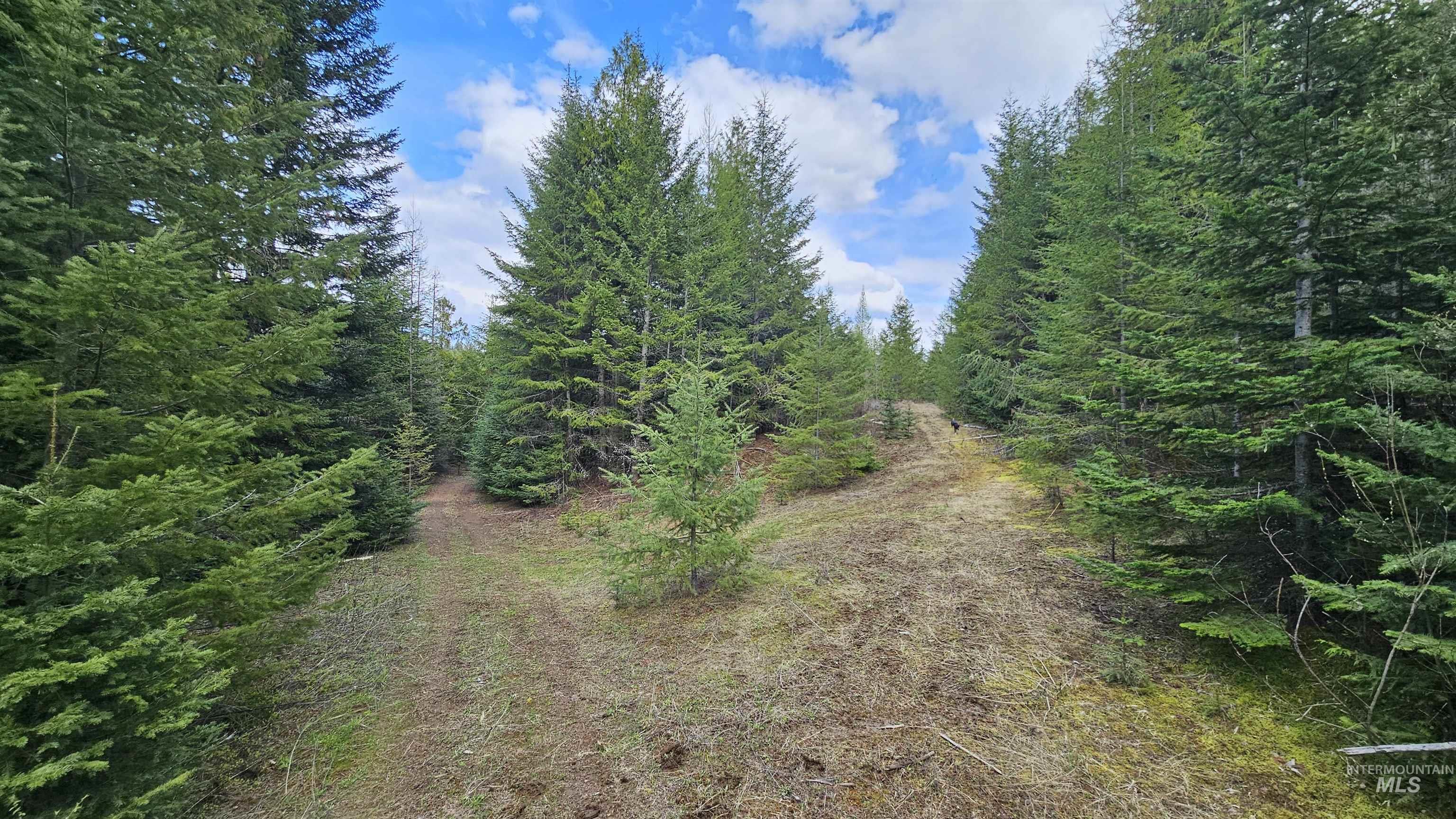 Tbd Lynx Lane Property Photo 13
