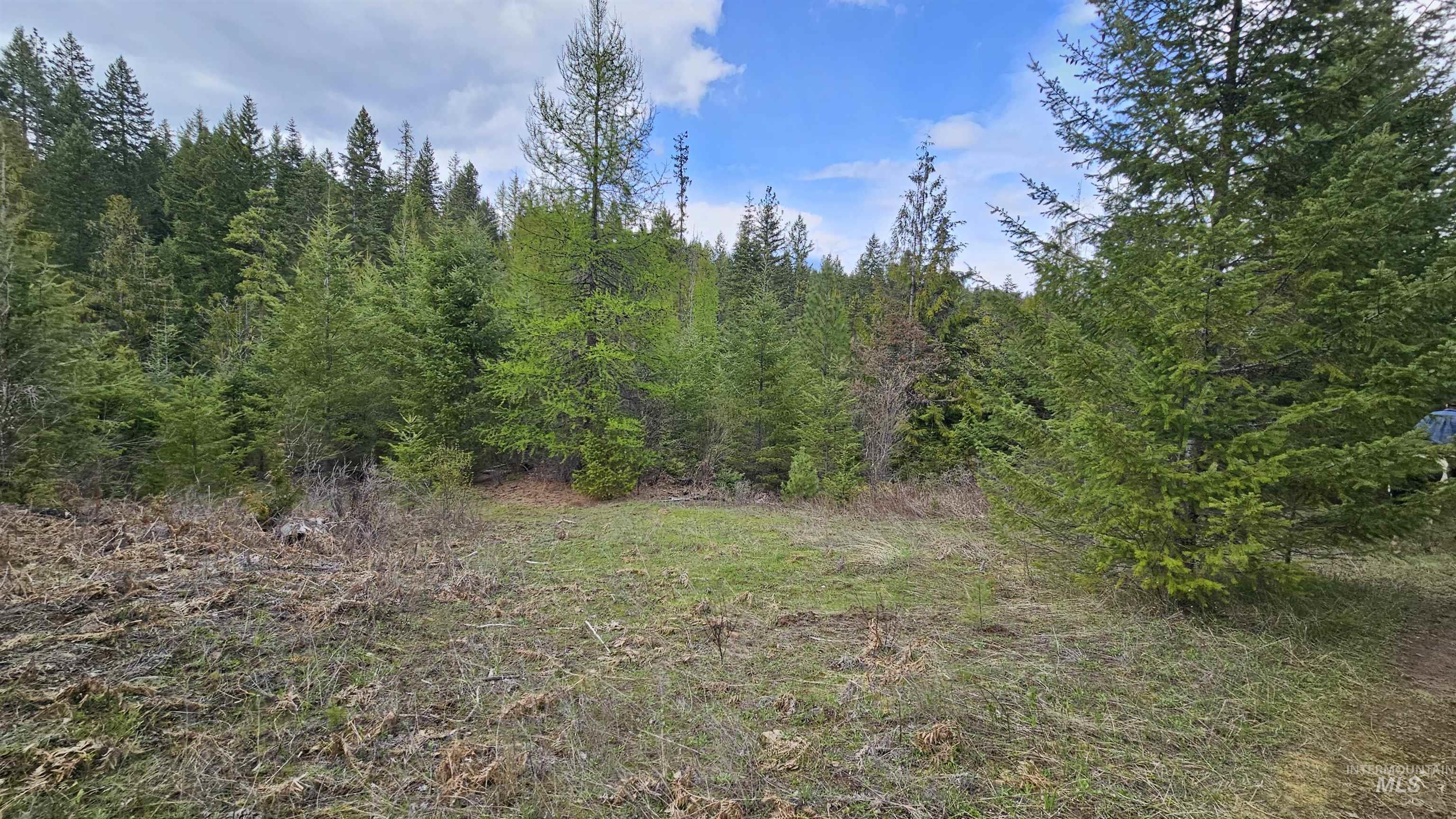 Tbd Lynx Lane Property Photo 14