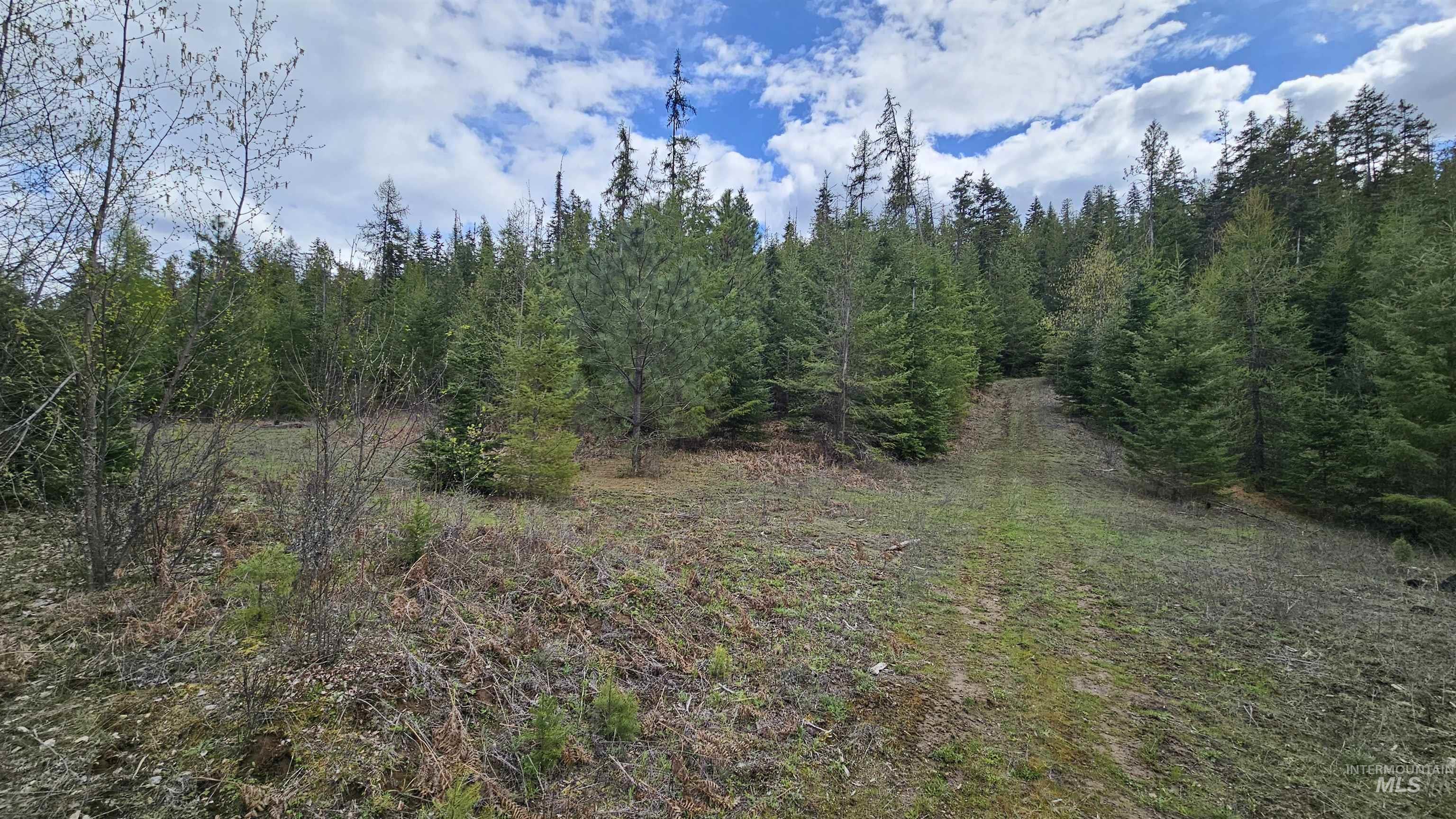 Tbd Lynx Lane Property Photo 15