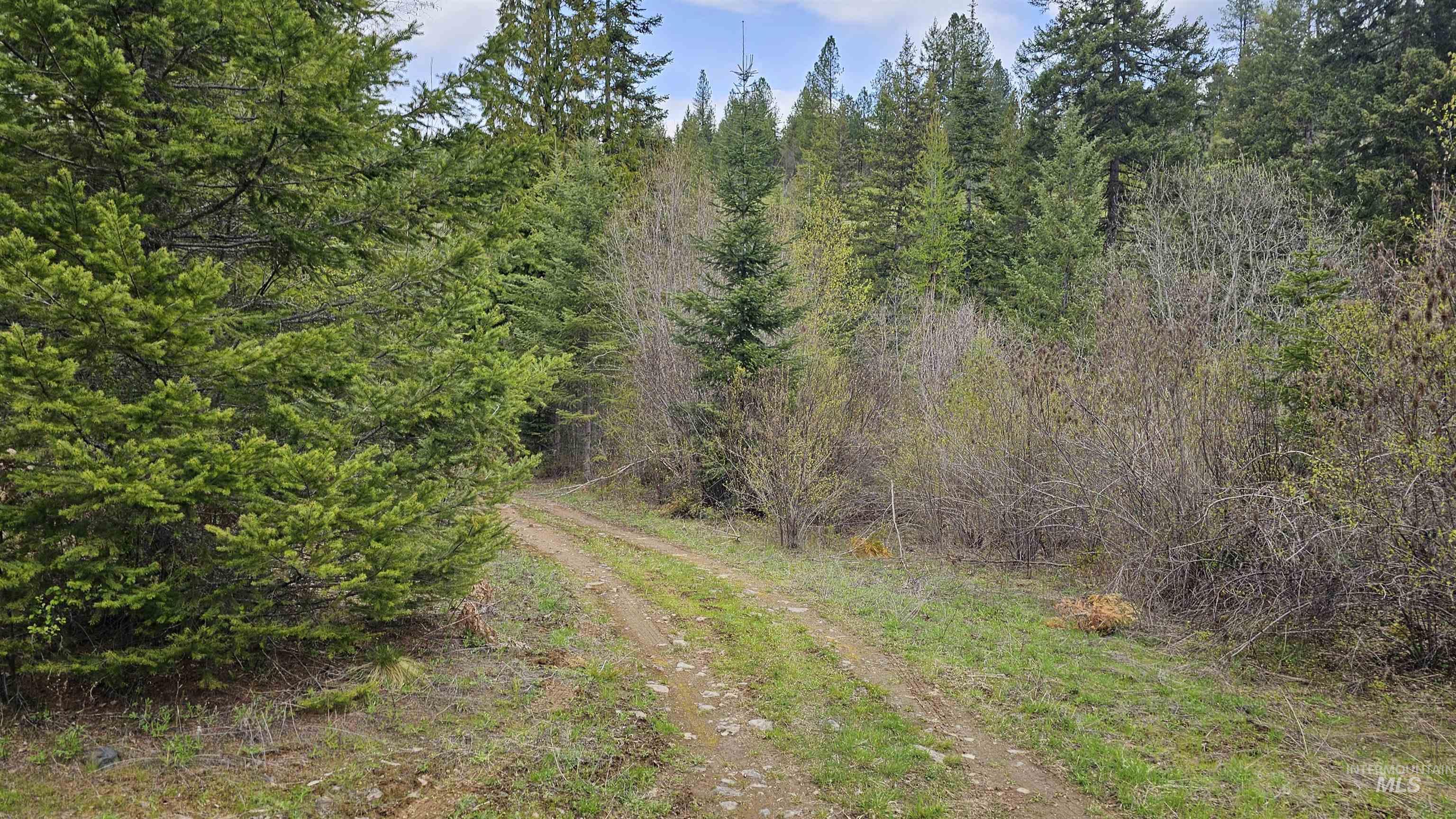 Tbd Lynx Lane Property Photo 17