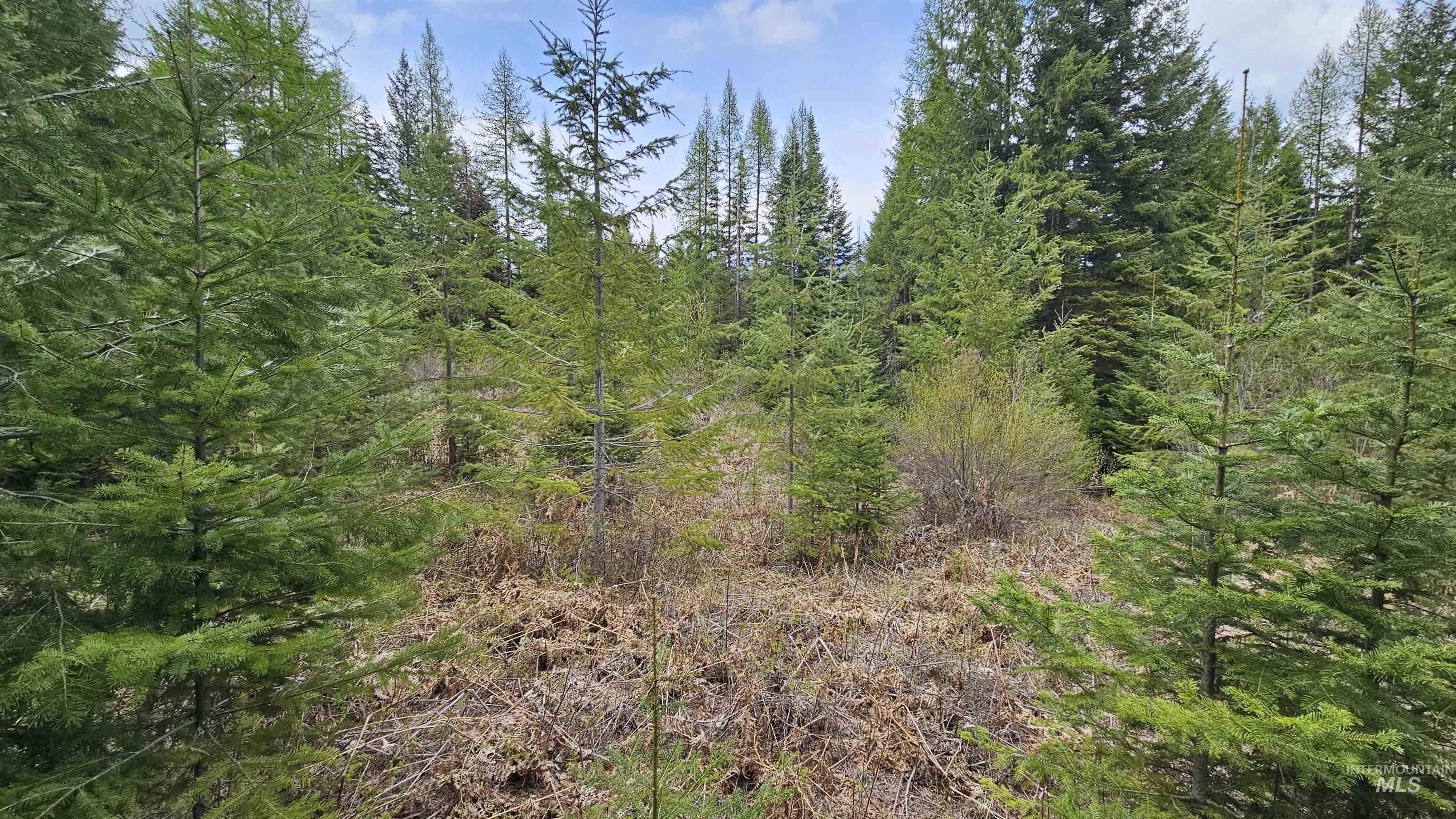 Tbd Lynx Lane Property Photo 25