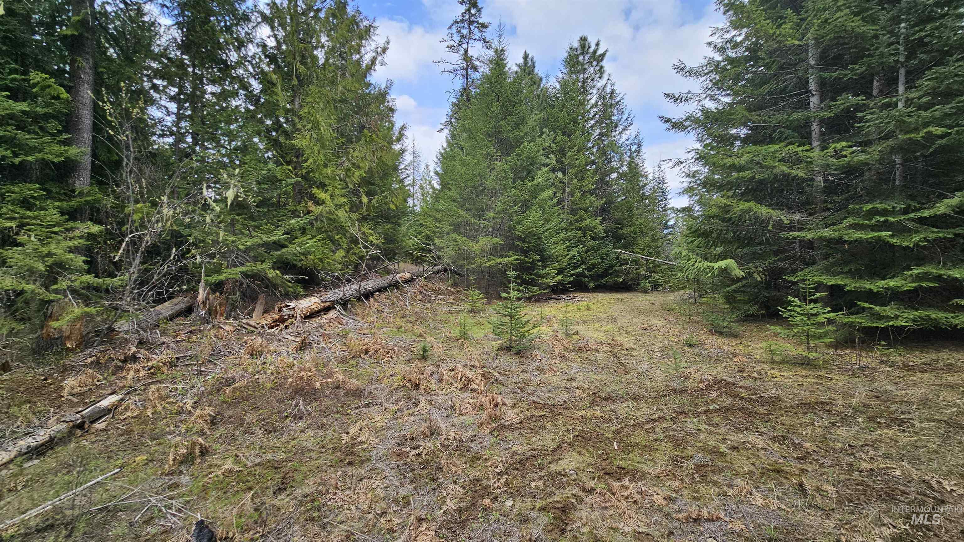 Tbd Lynx Lane Property Photo 27