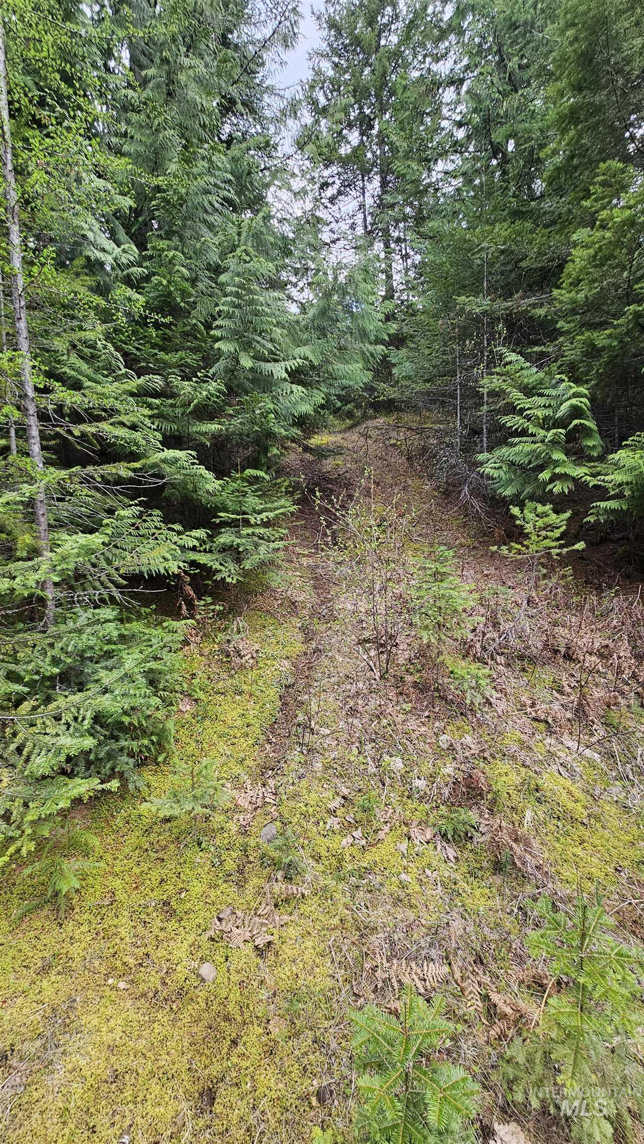 Tbd Lynx Lane Property Photo 28