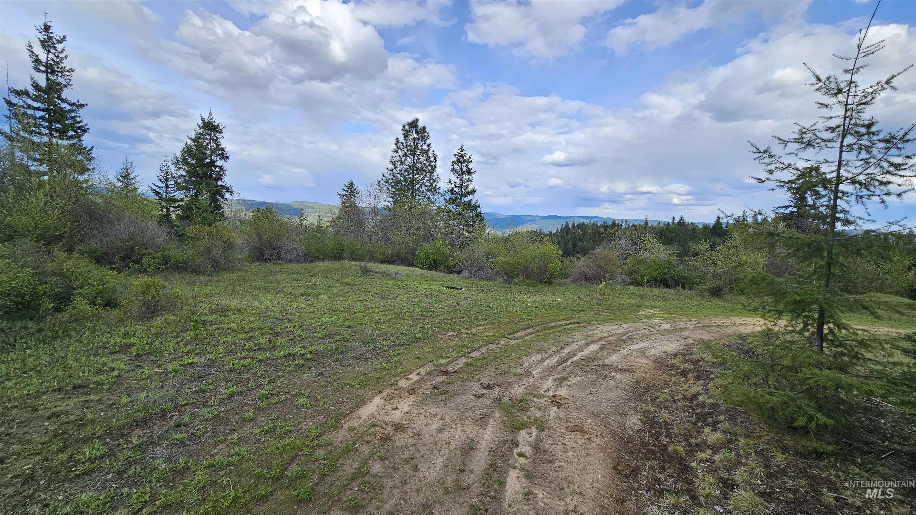 Tbd Lynx Lane Property Photo 32