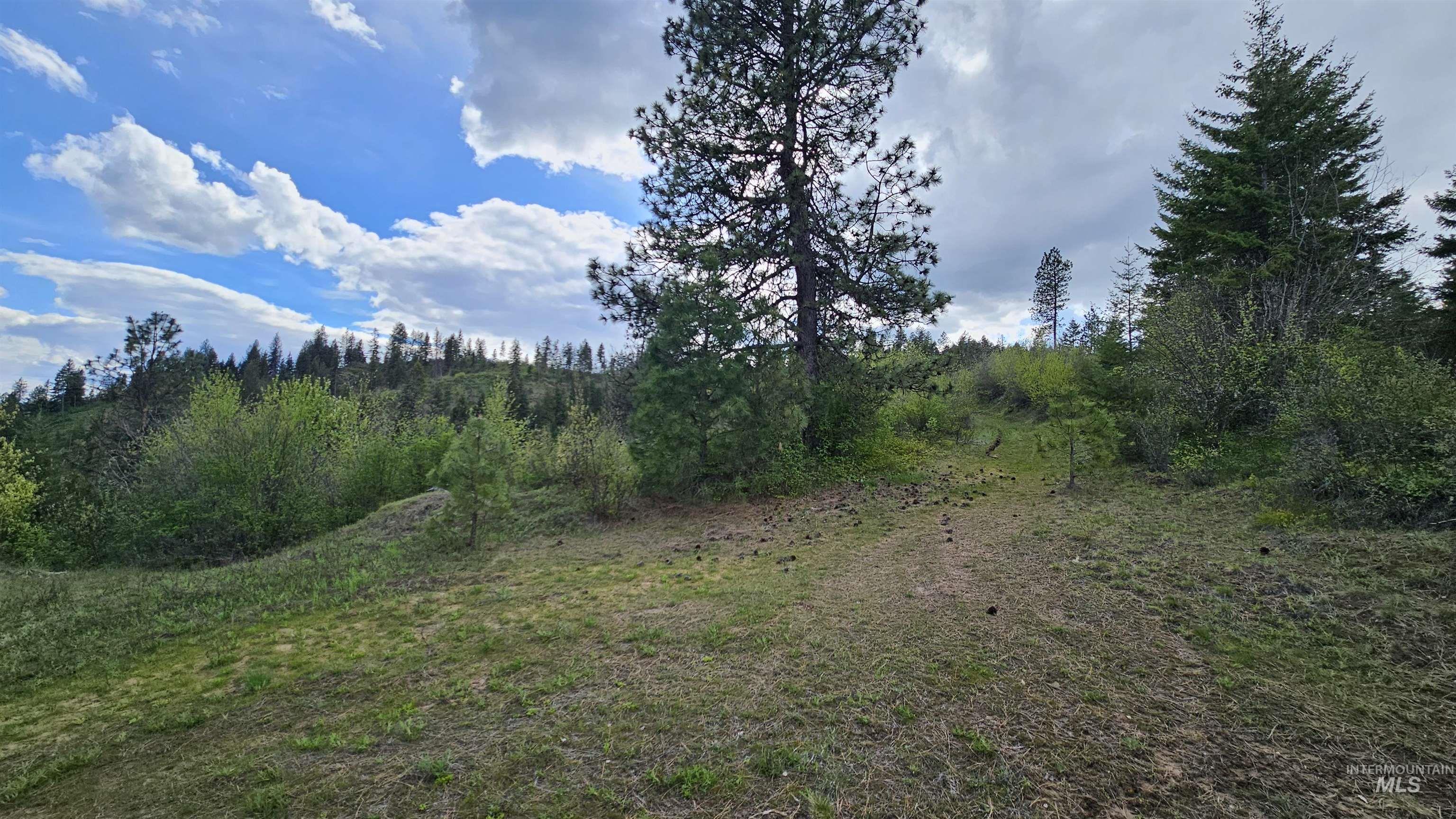 Tbd Lynx Lane Property Photo 34