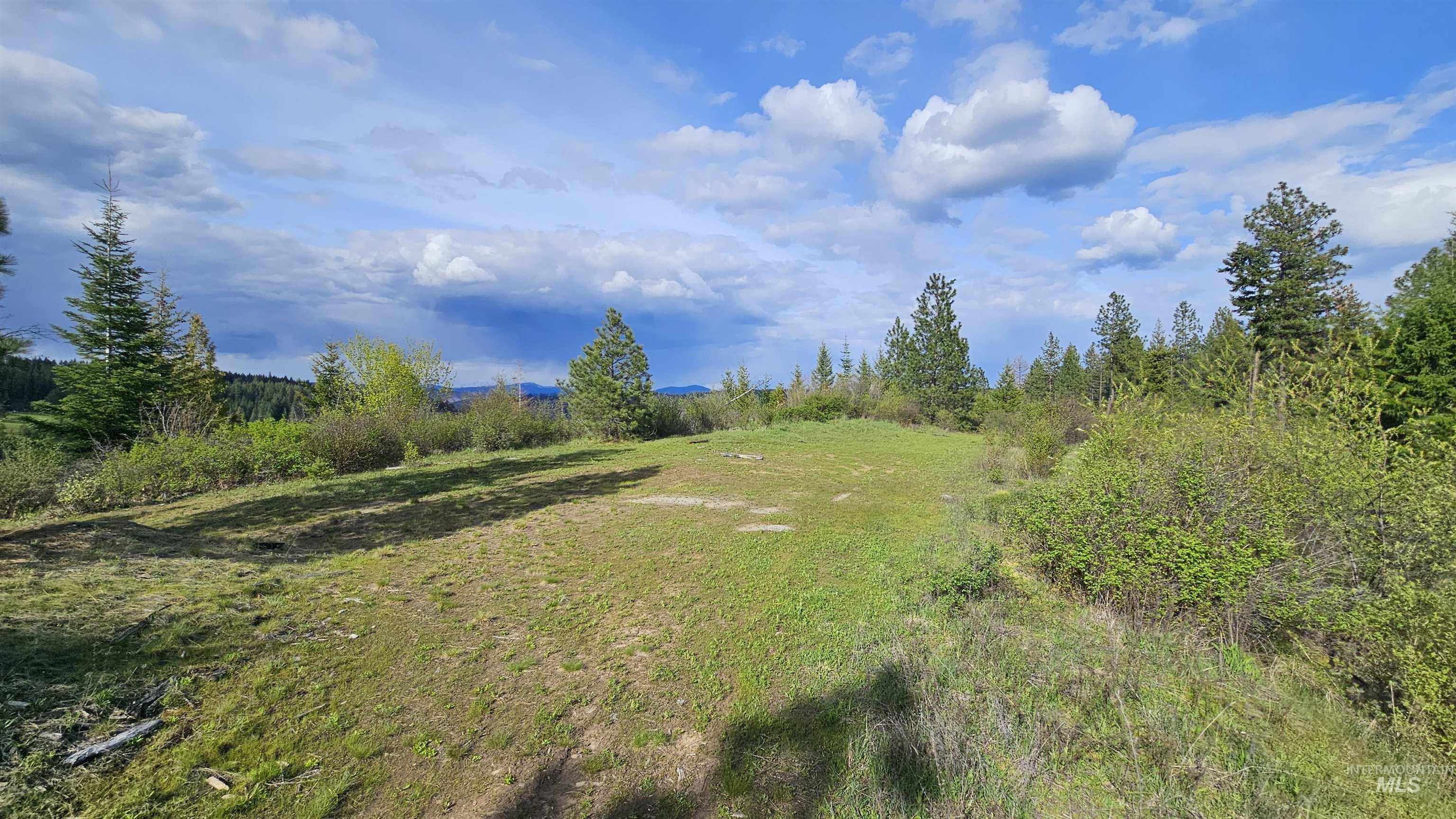 Tbd Lynx Lane Property Photo 41