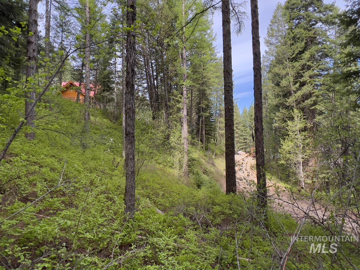 45 Landale Lane Property Photo 11