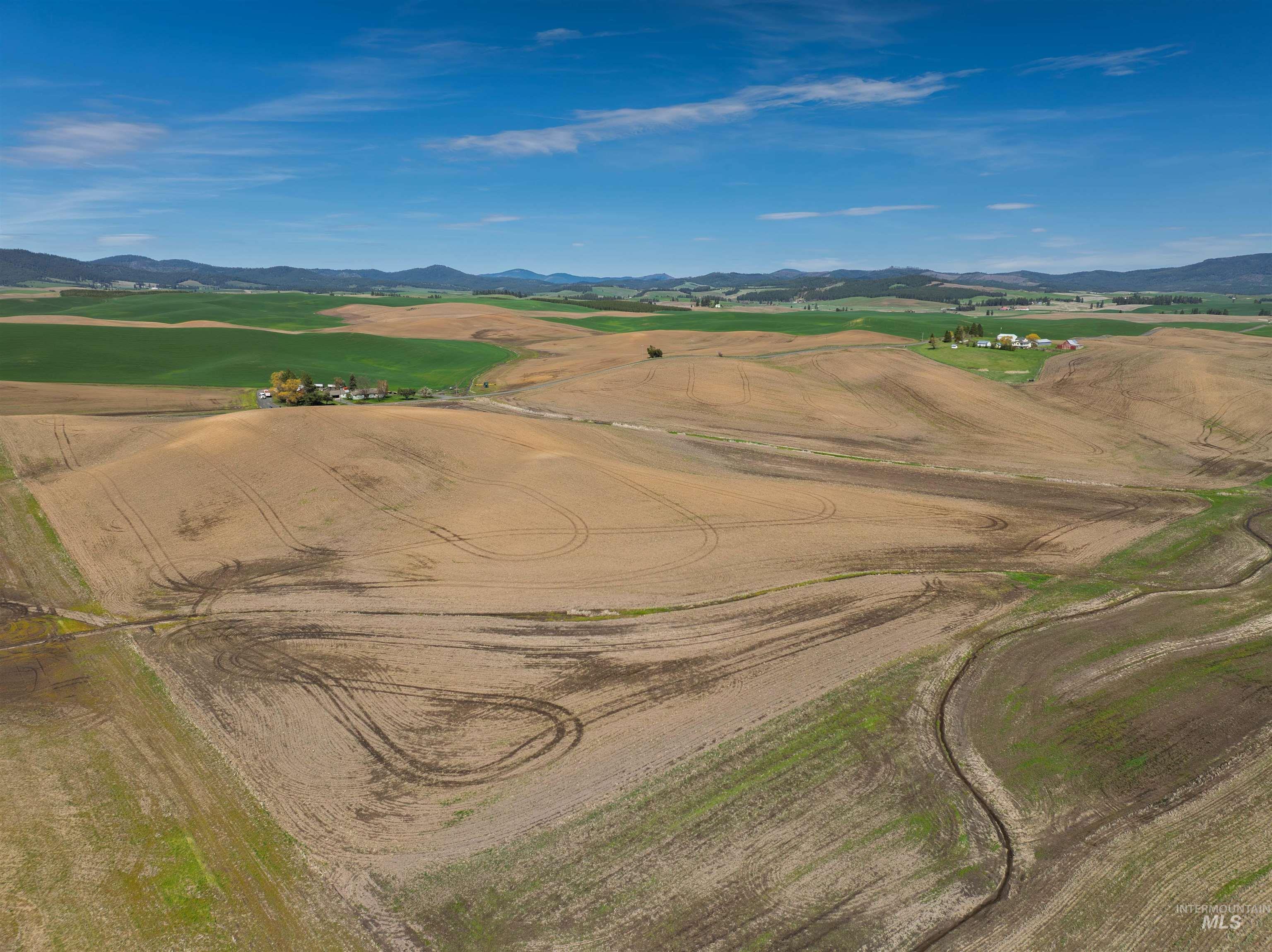 Tbd Scoville Rd, +/- 25 Ac Property Photo 4