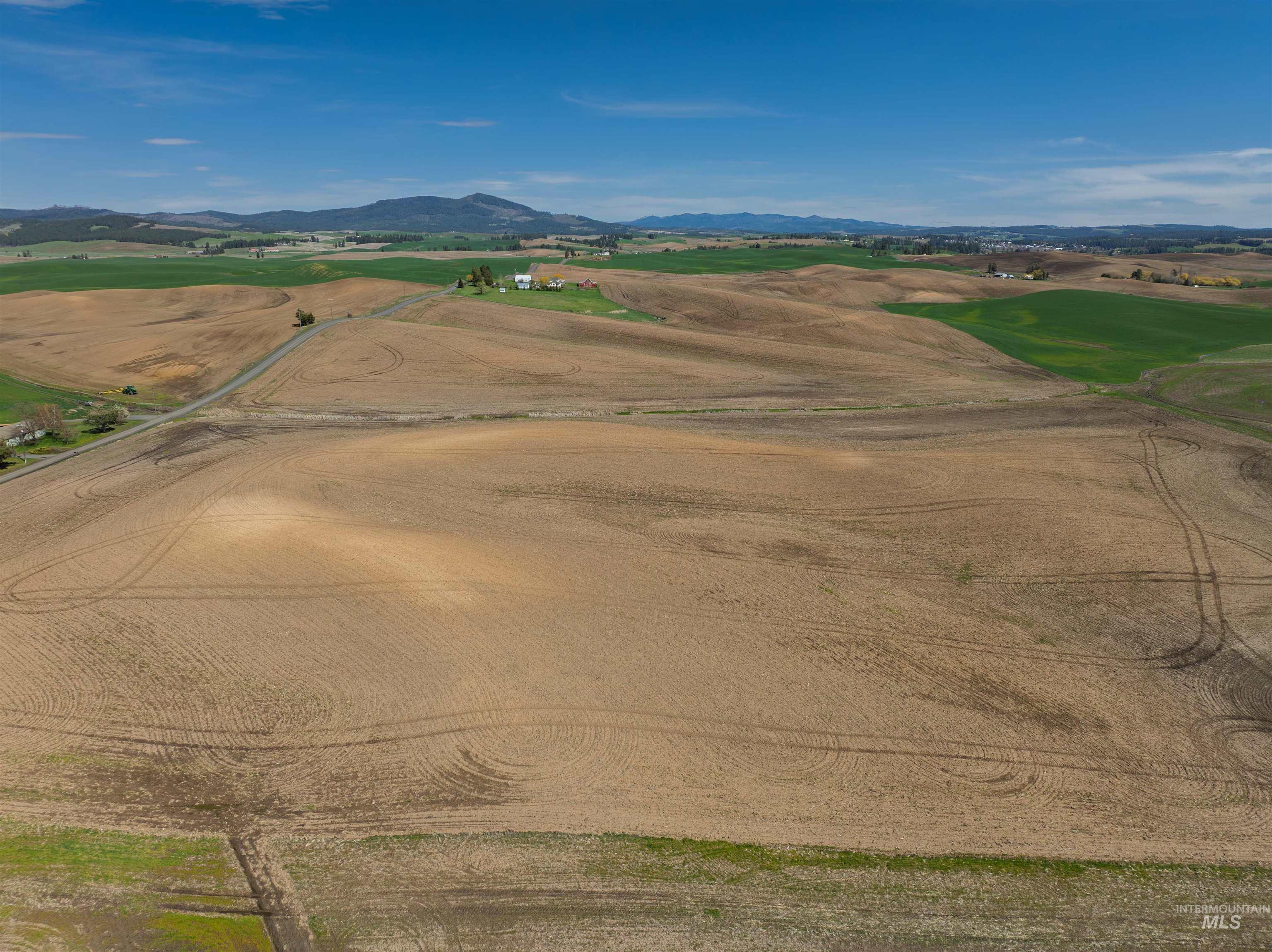 Tbd Scoville Rd, +/- 25 Ac Property Photo 5