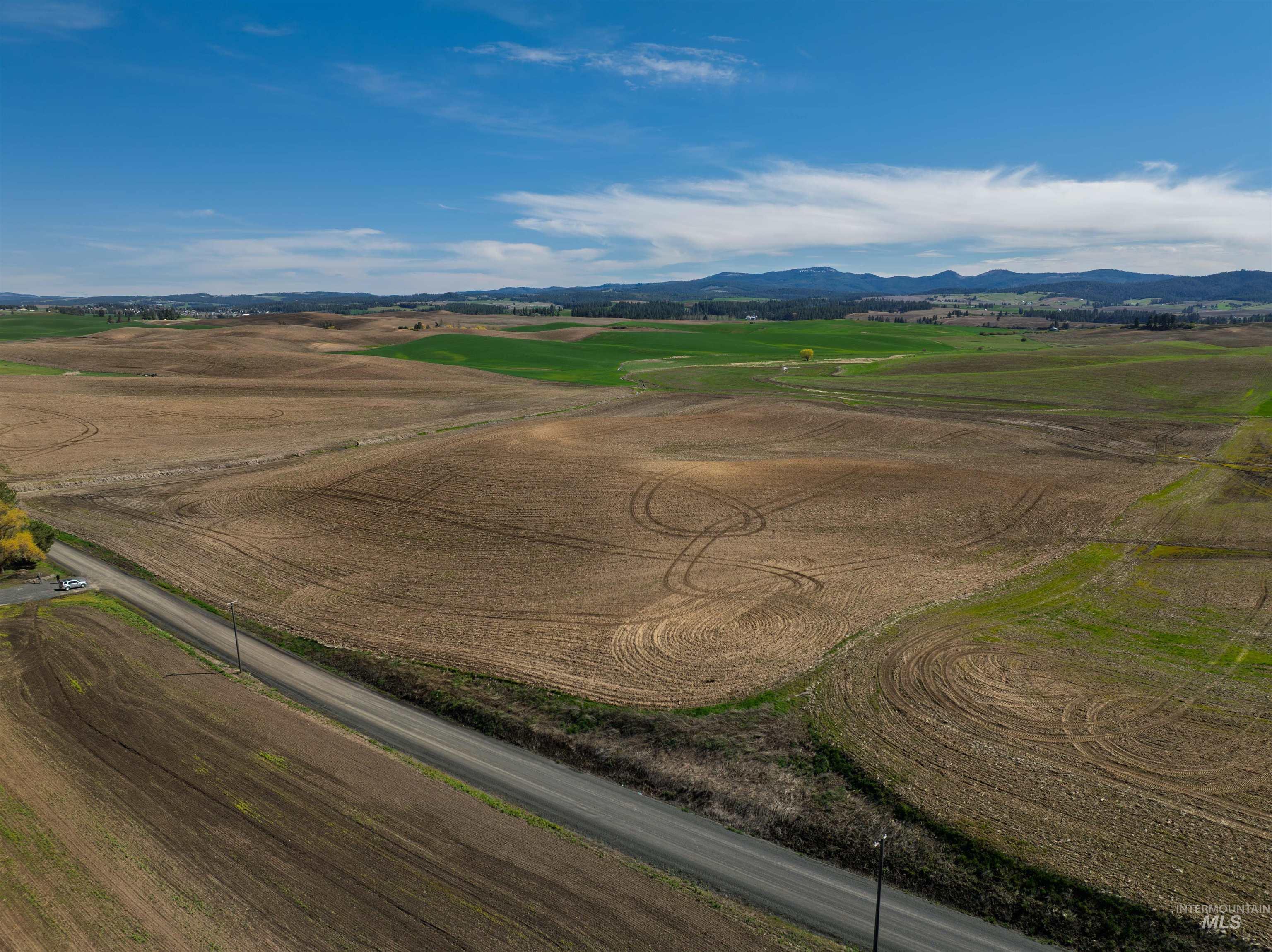 Tbd Scoville Rd, +/- 25 Ac Property Photo 6