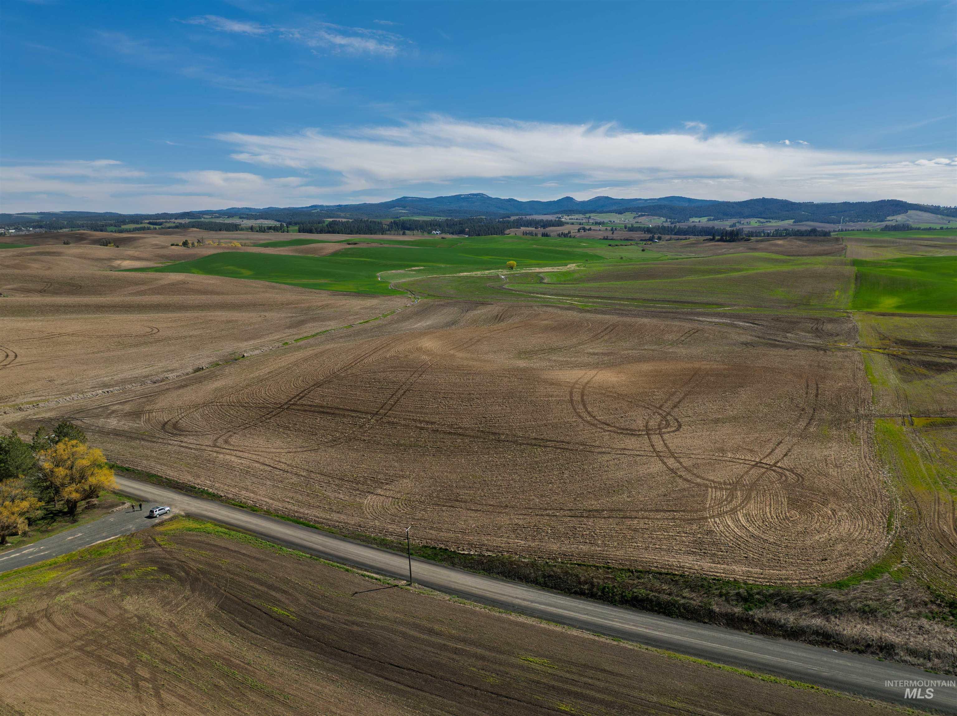 Tbd Scoville Rd, +/- 25 Ac Property Photo 7