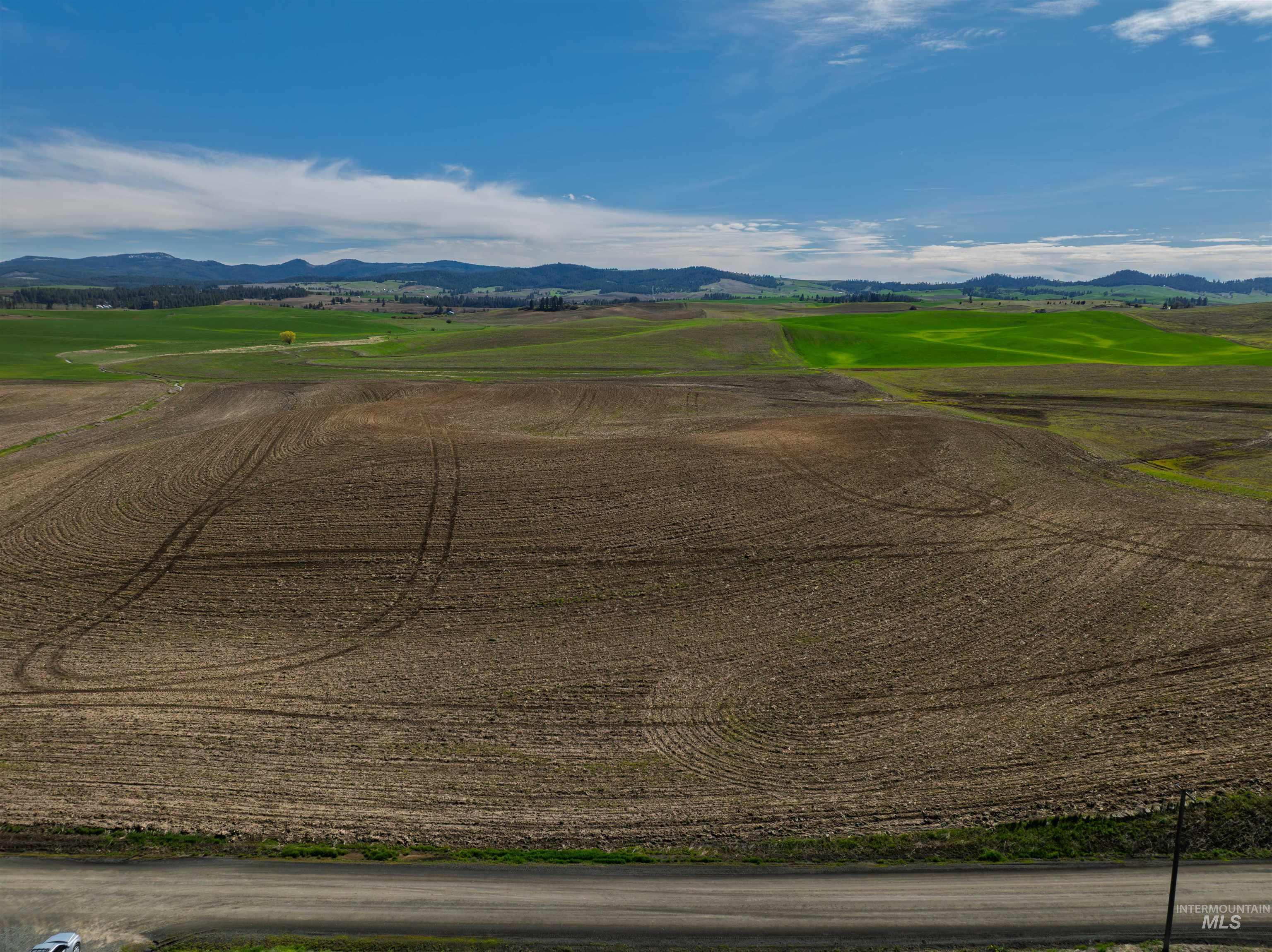 Tbd Scoville Rd, +/- 25 Ac Property Photo 8