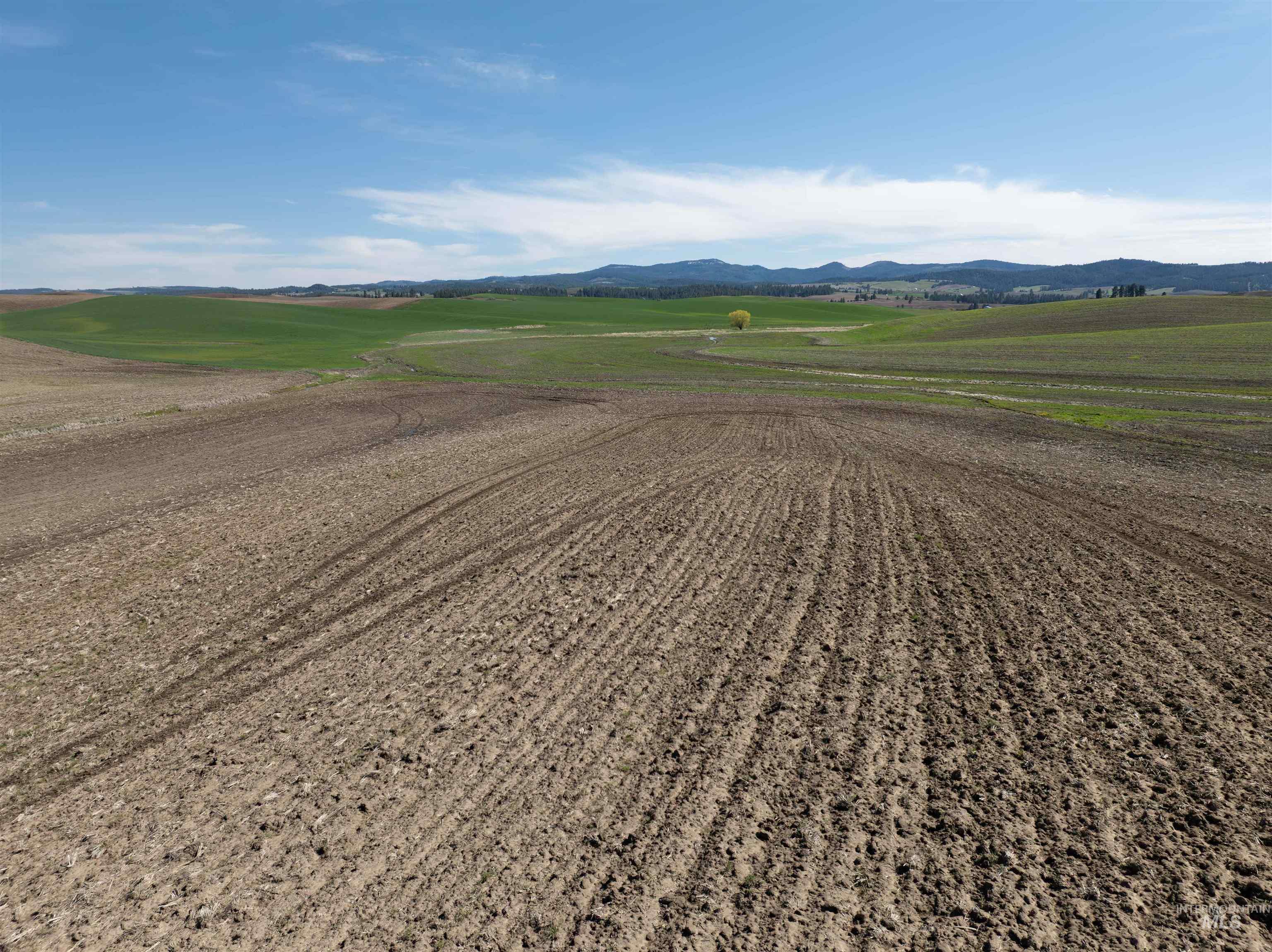 Tbd Scoville Rd, +/- 25 Ac Property Photo 14