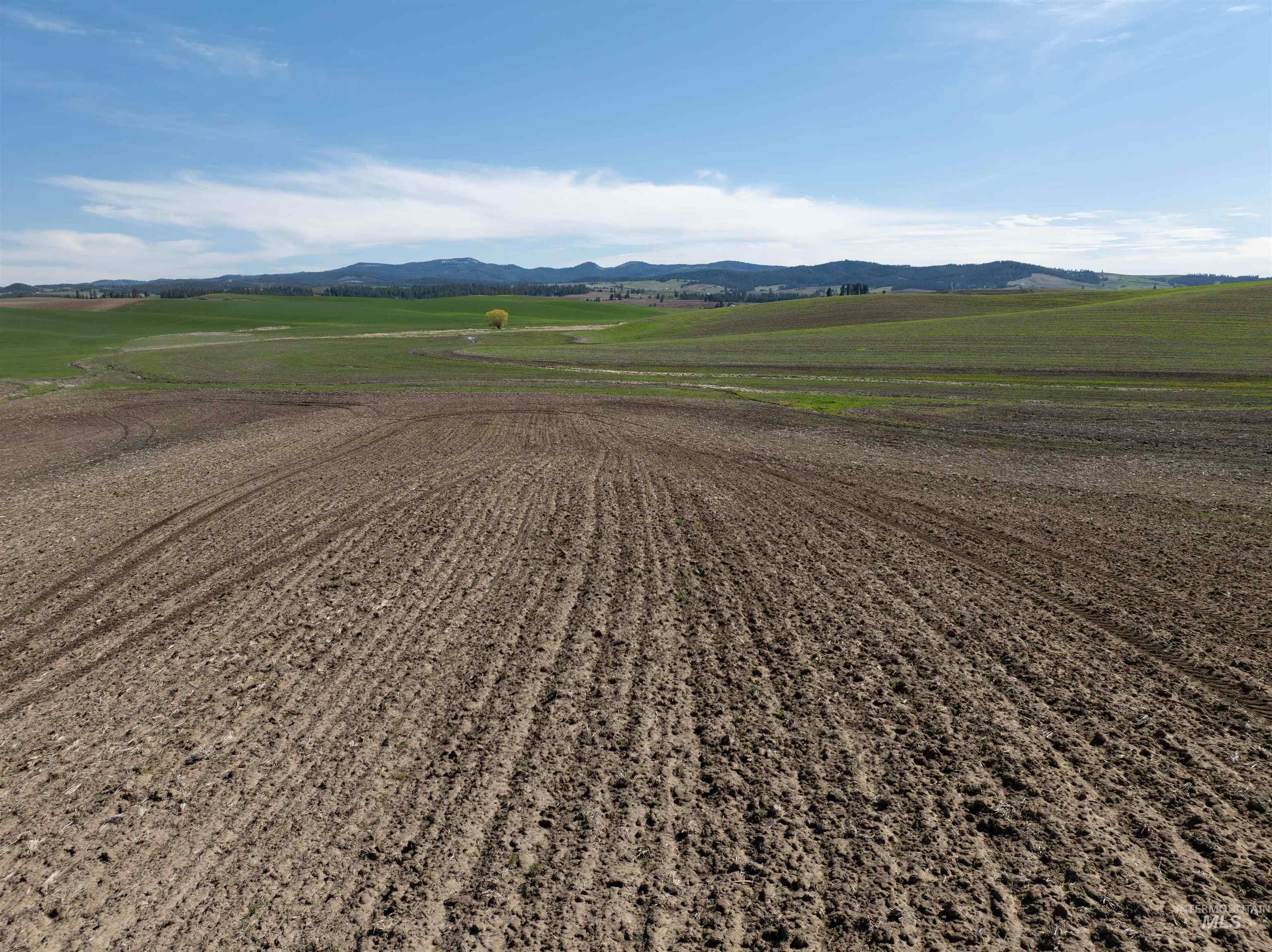 Tbd Scoville Rd, +/- 25 Ac Property Photo 15