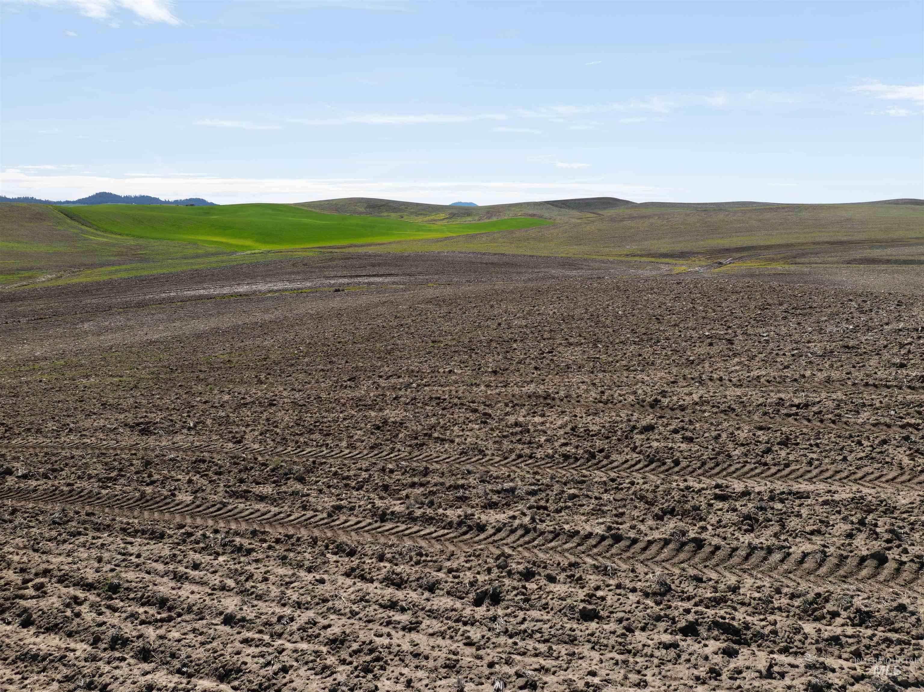 Tbd Scoville Rd, +/- 25 Ac Property Photo 16