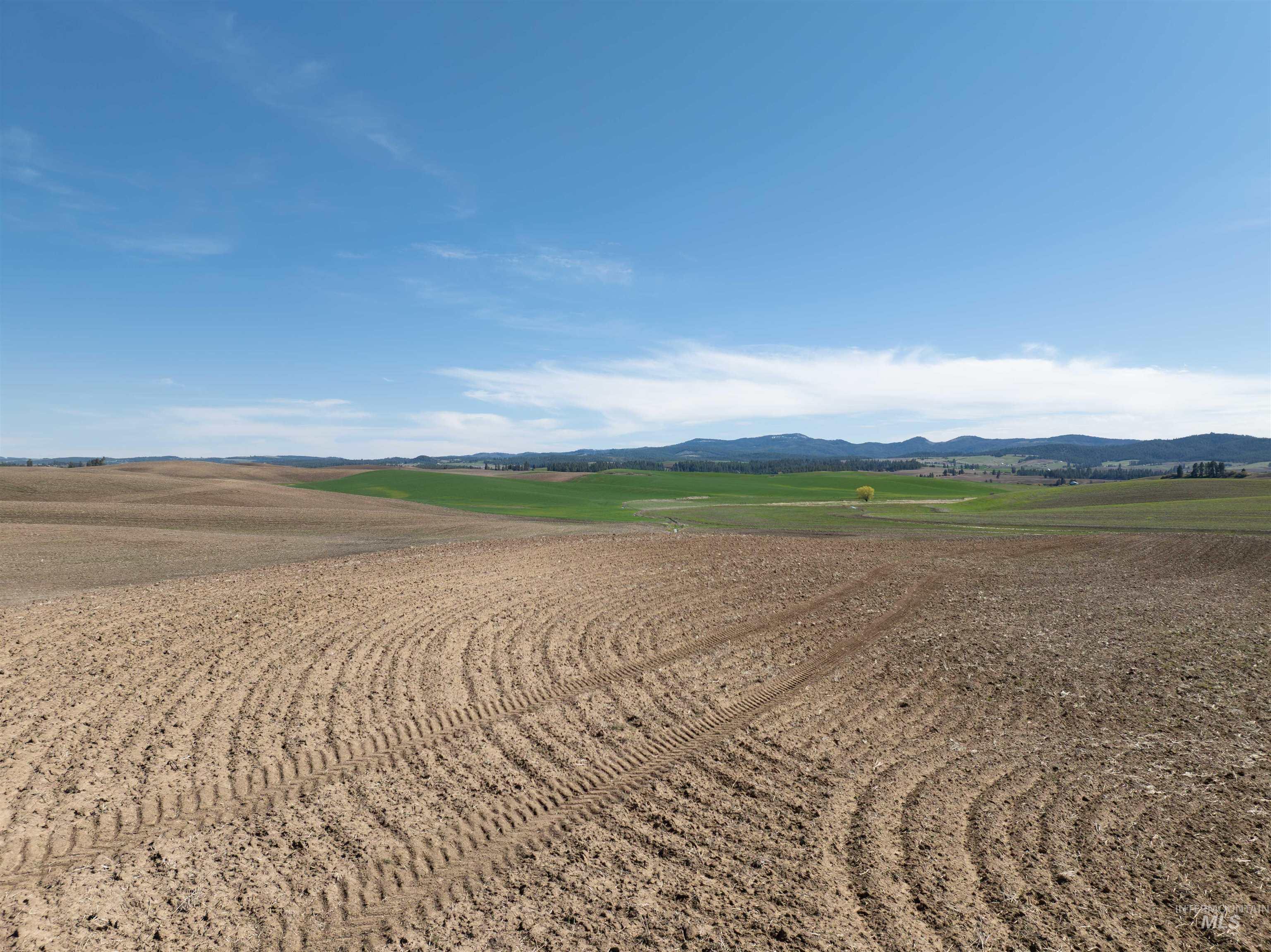 Tbd Scoville Rd, +/- 25 Ac Property Photo 21