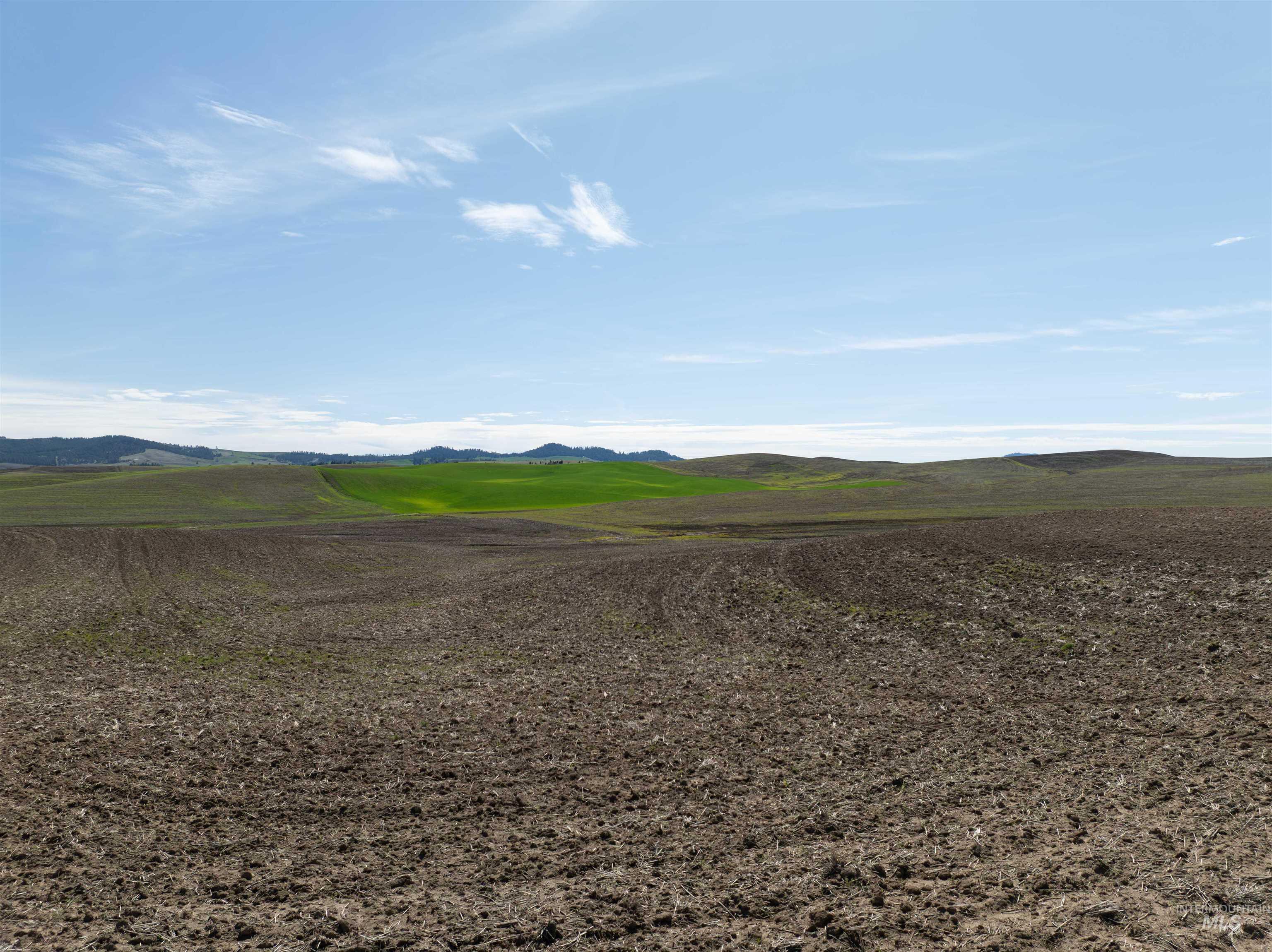 Tbd Scoville Rd, +/- 25 Ac Property Photo 22
