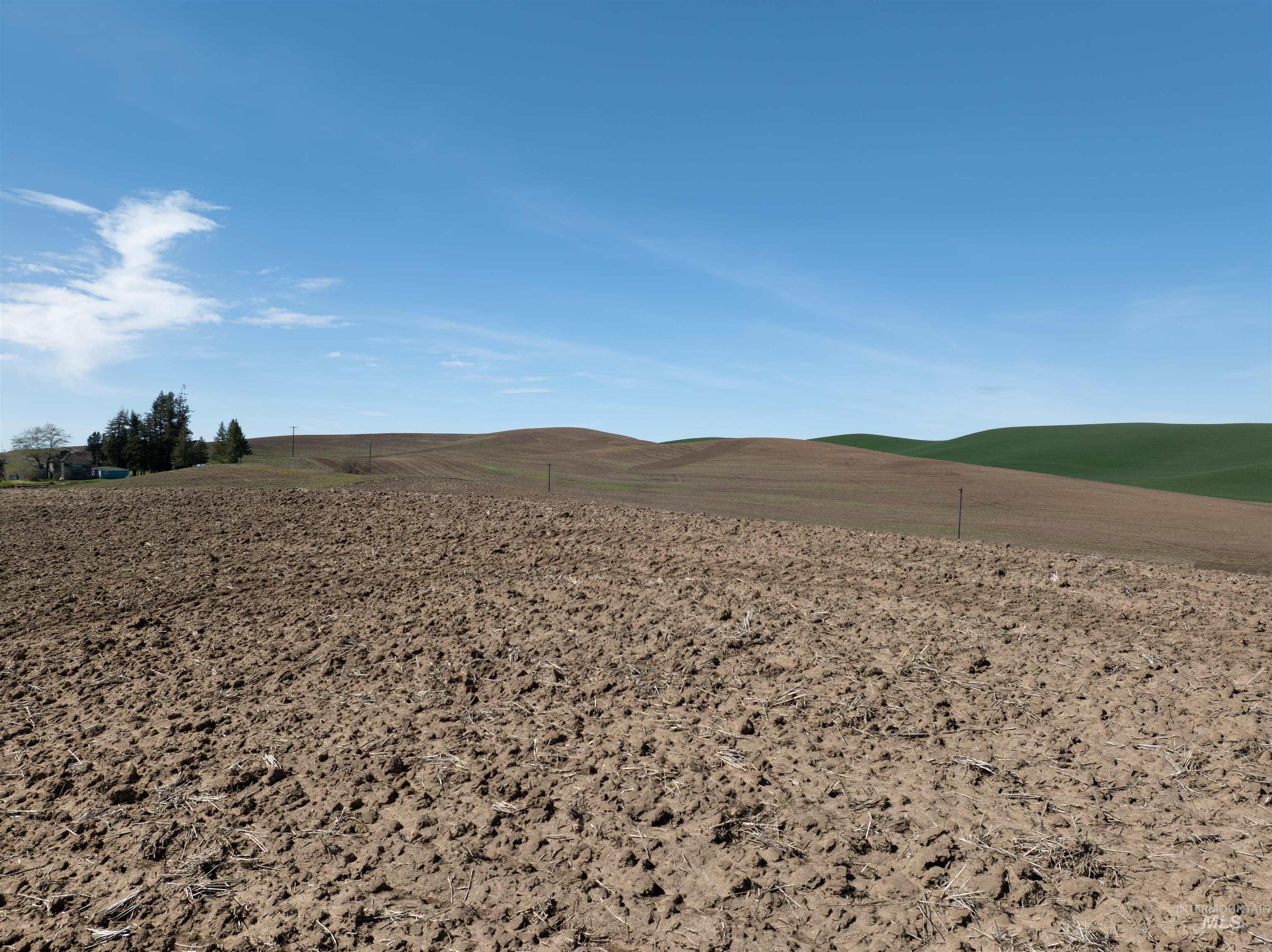 Tbd Scoville Rd, +/- 25 Ac Property Photo 23