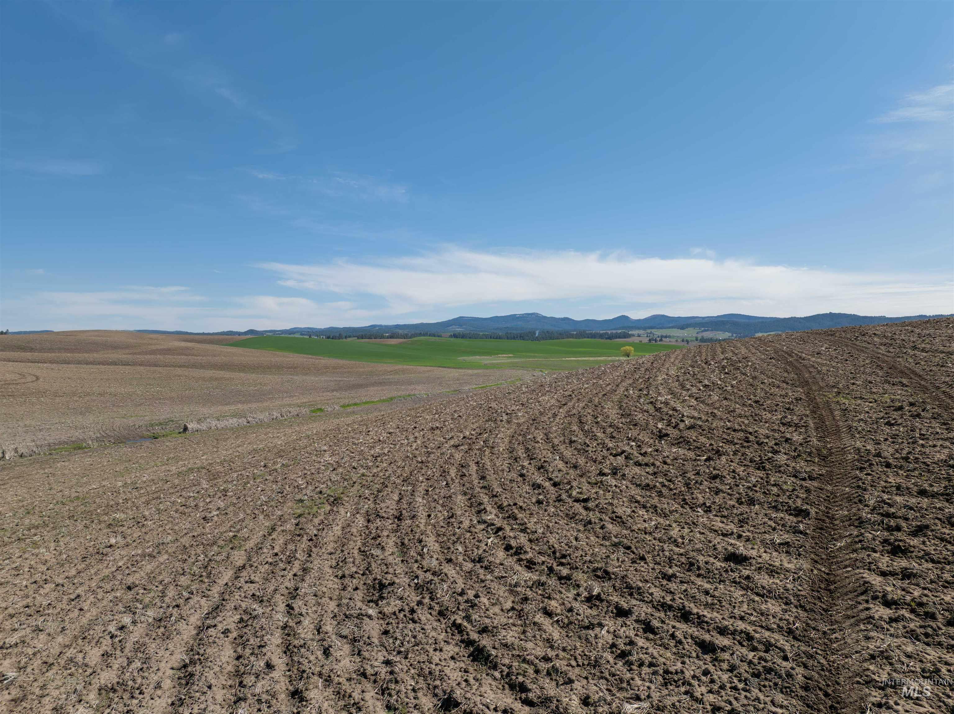 Tbd Scoville Rd, +/- 25 Ac Property Photo 25