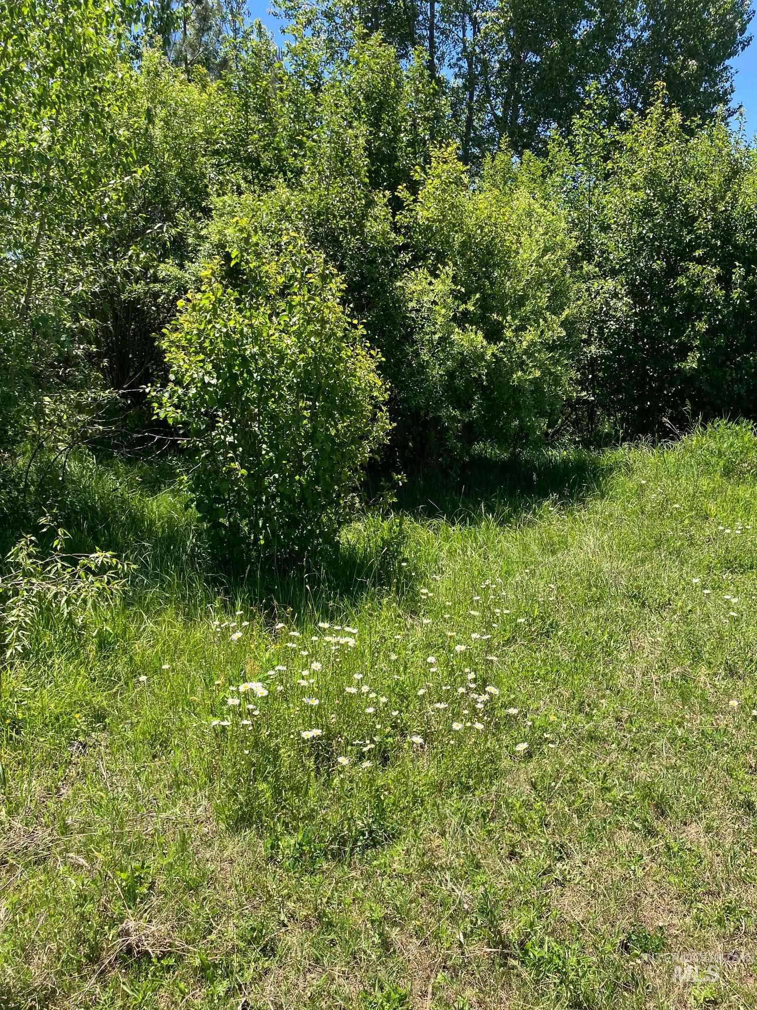Tbd Wallace Property Photo 7