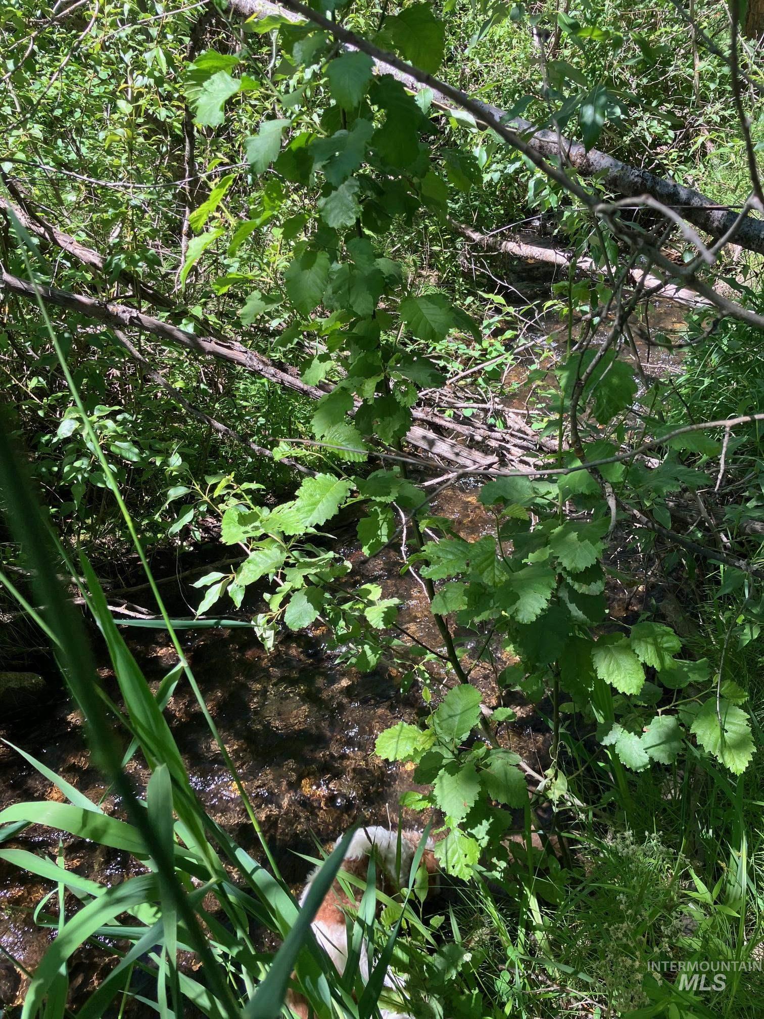 Tbd Wallace Property Photo 9