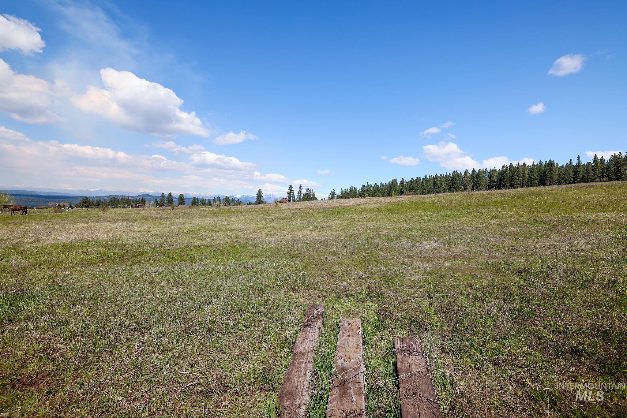 Tbd Wallace Property Photo 11