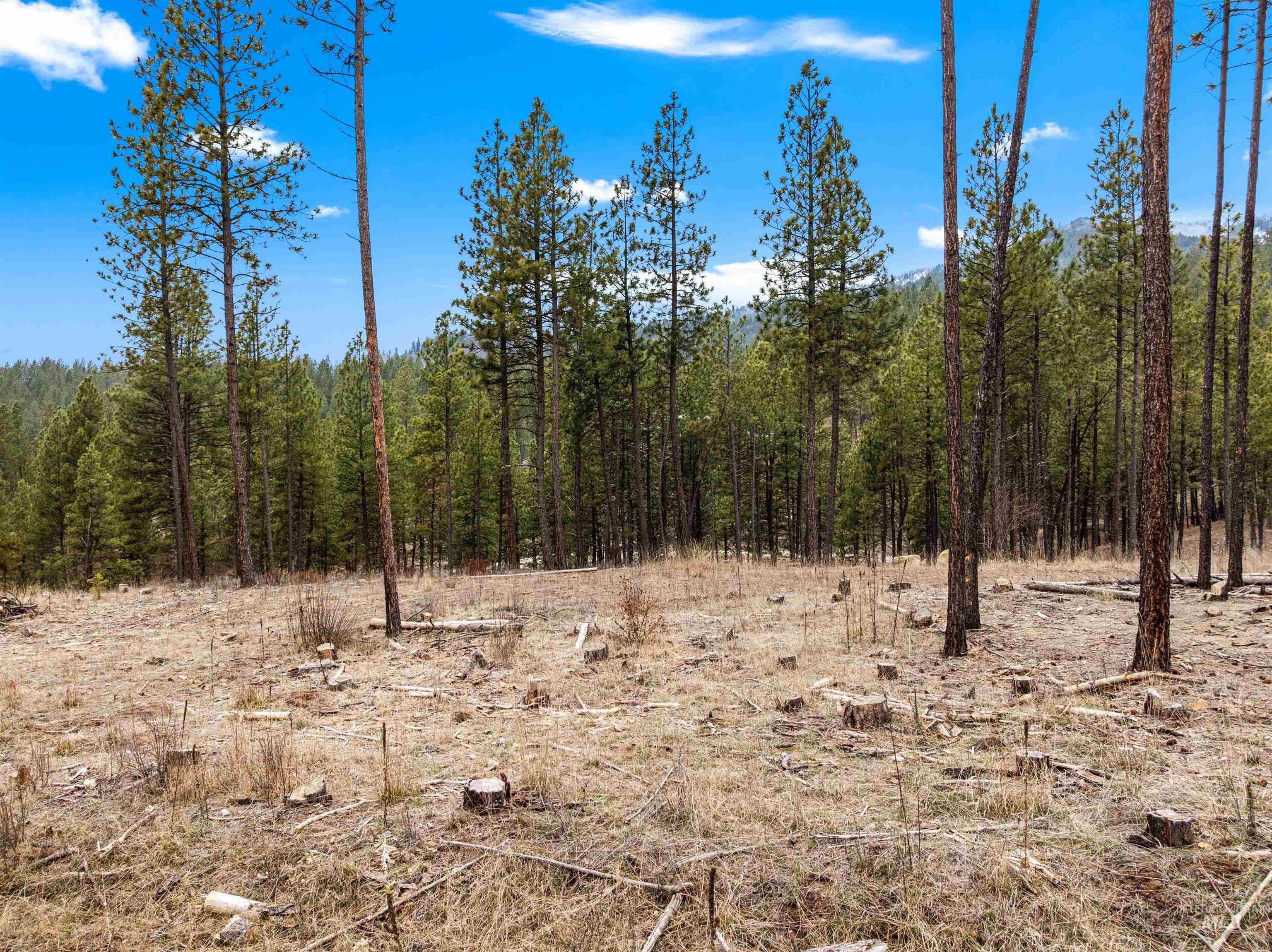 Tbd Lot 7 Pine Grove Property Photo 5