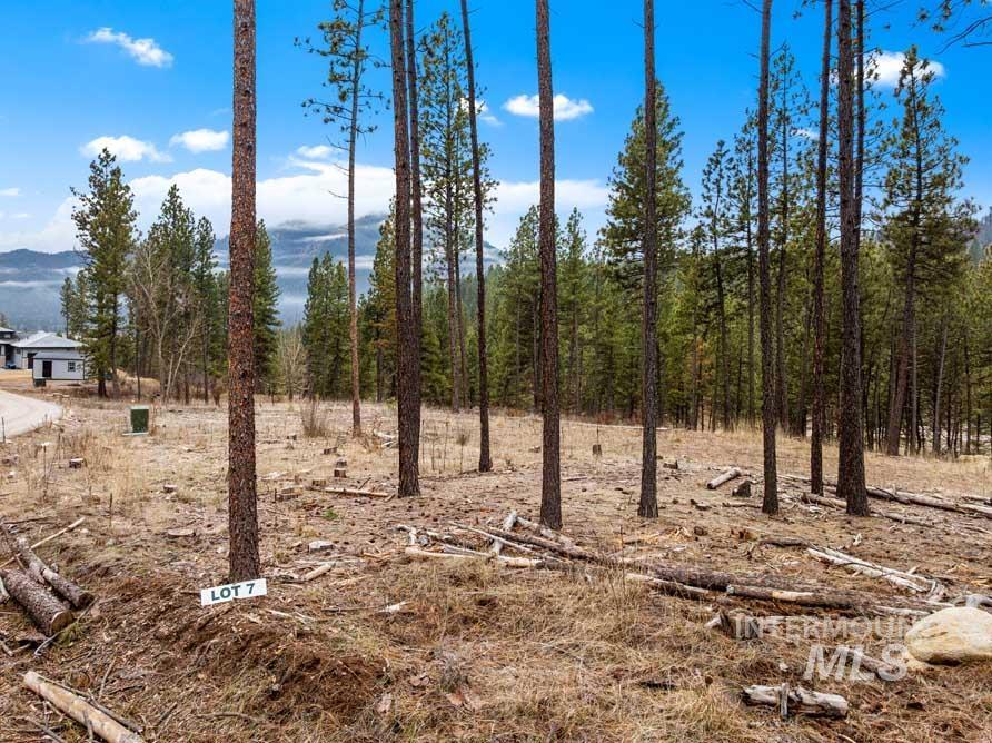 Tbd Lot 7 Pine Grove Property Photo 6