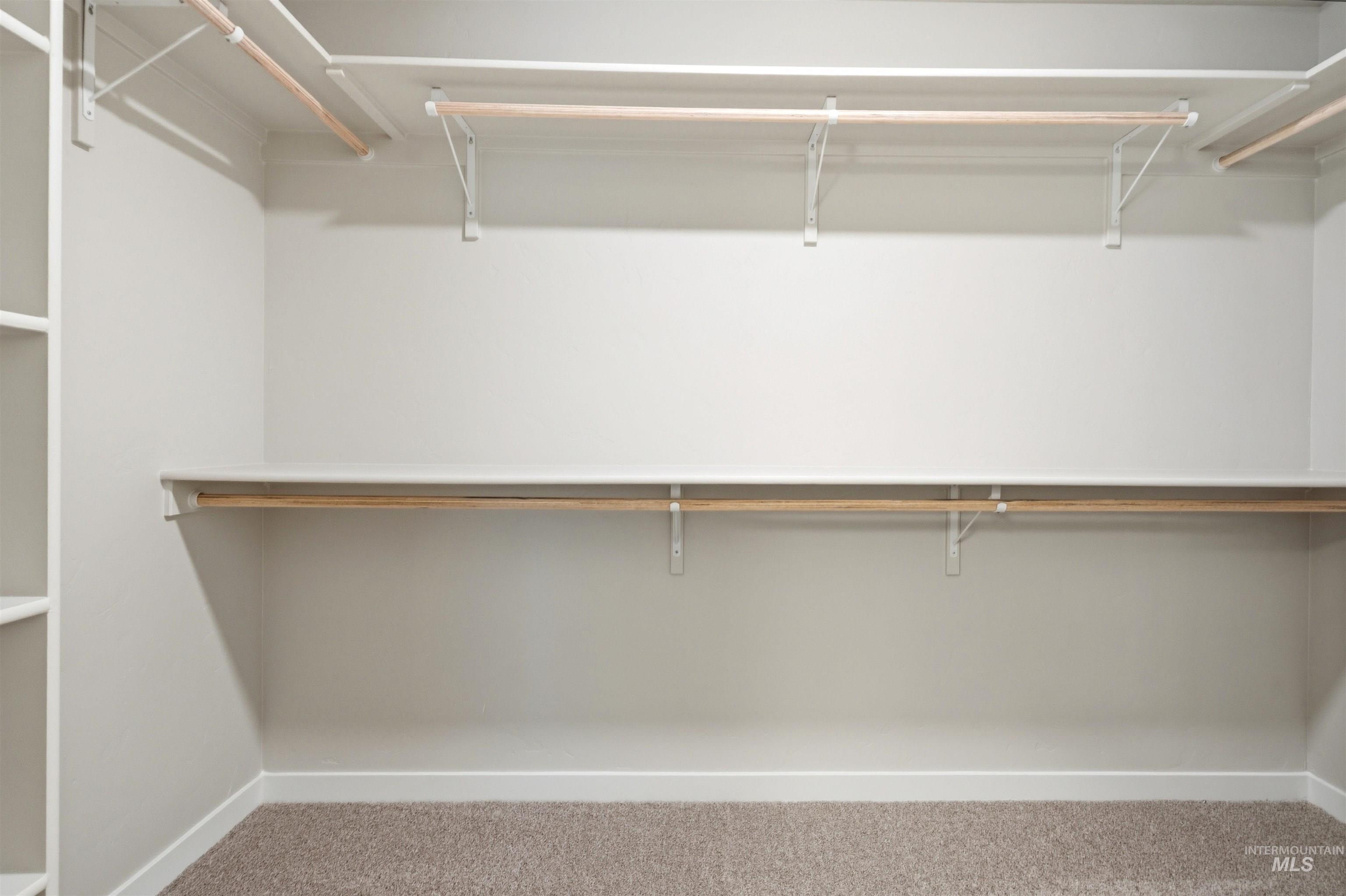 10076 Longtail Drive Property Photo 22