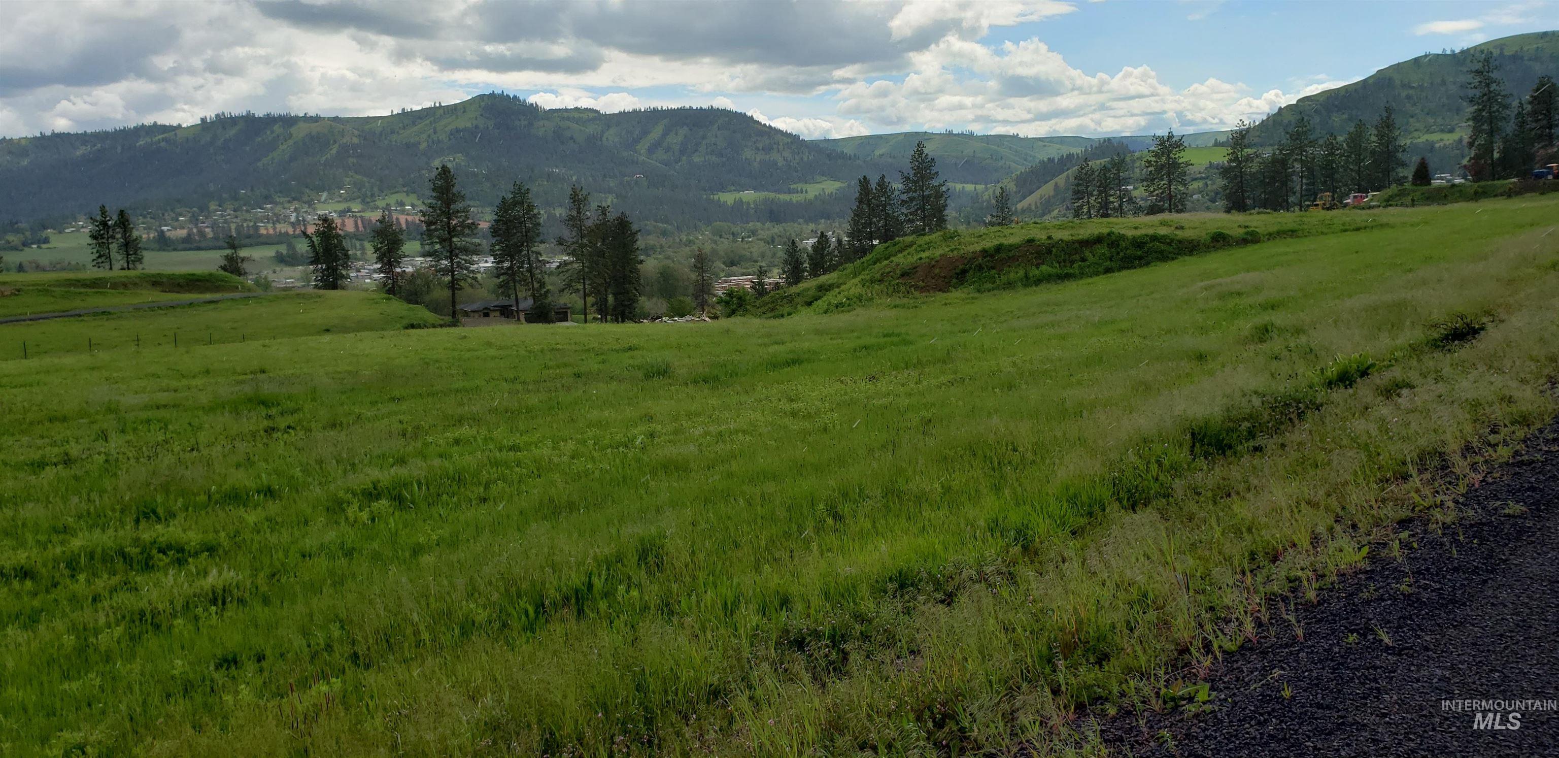 TBD River View Dr