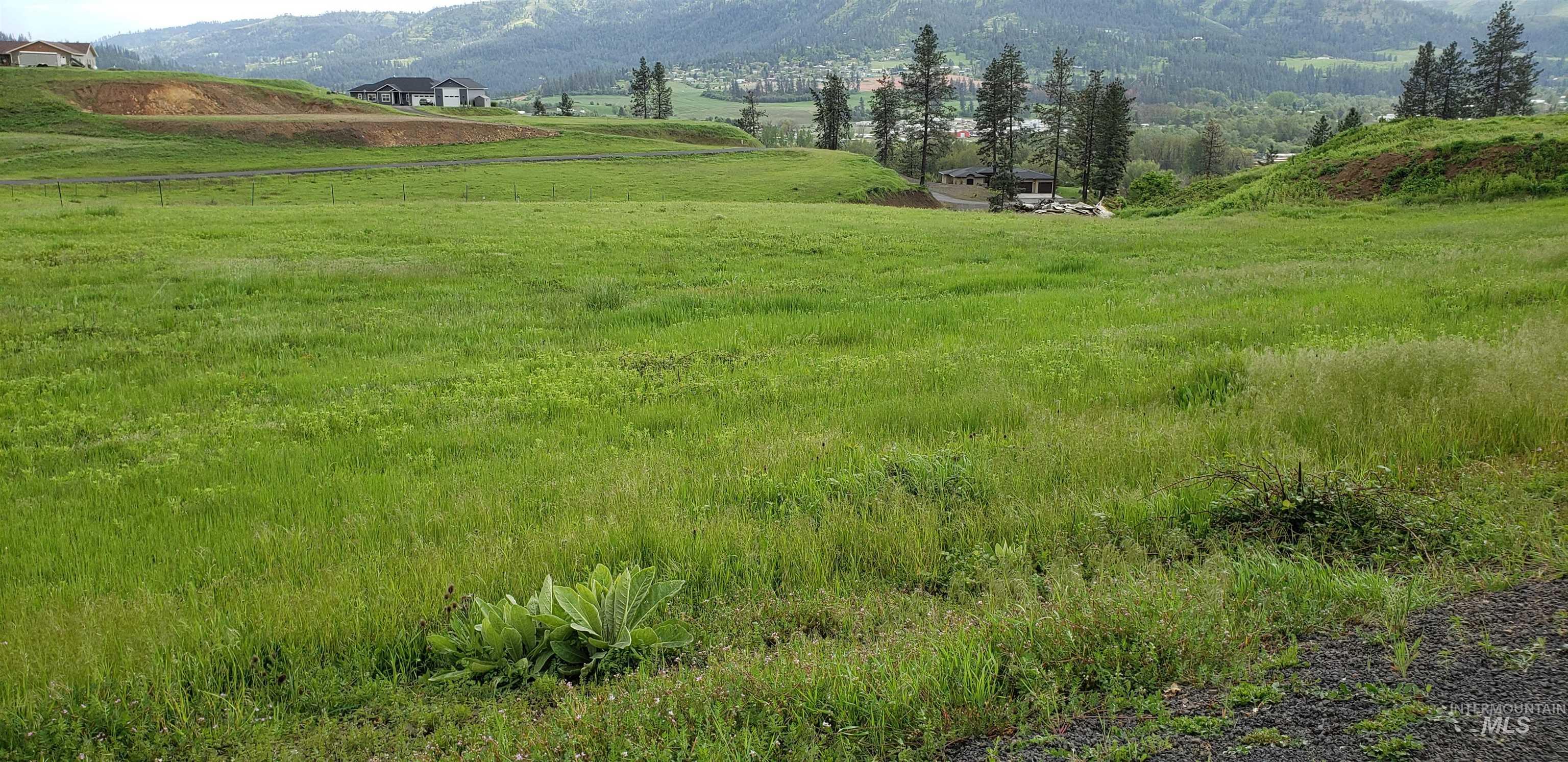 Tbd River View Dr Property Photo 2