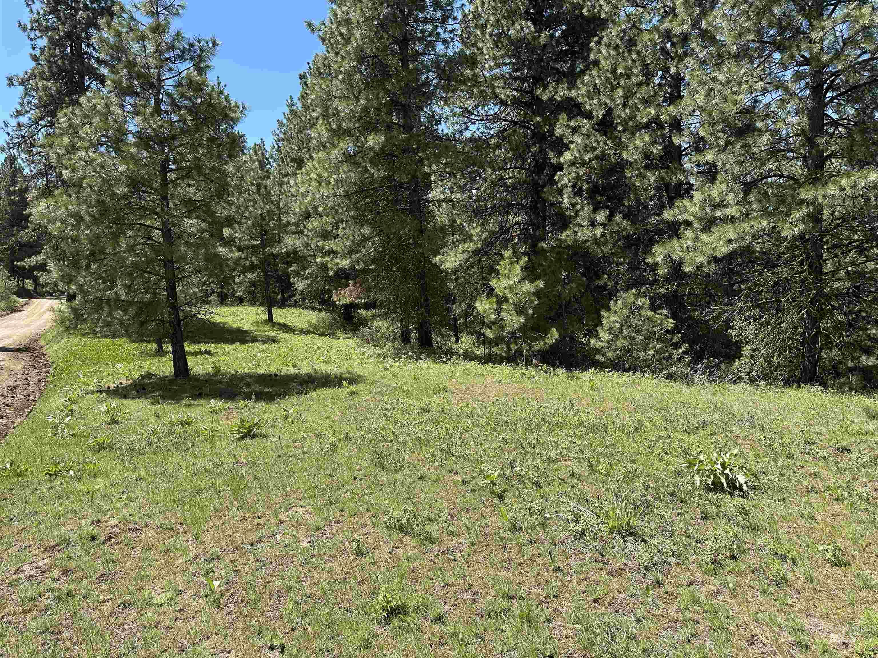 Tbd Cruickshank Rd Property Photo 2