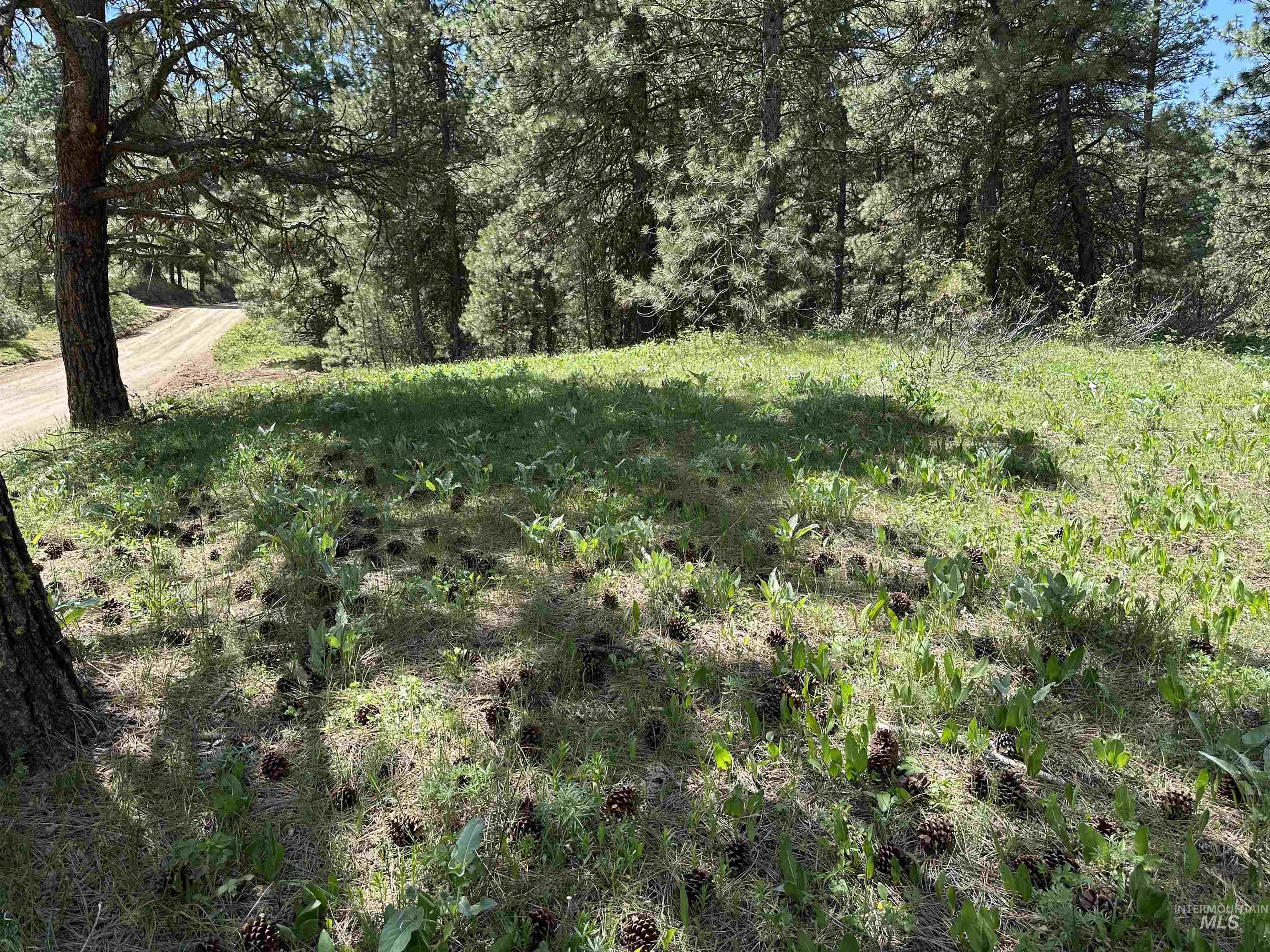 Tbd Cruickshank Rd Property Photo 3
