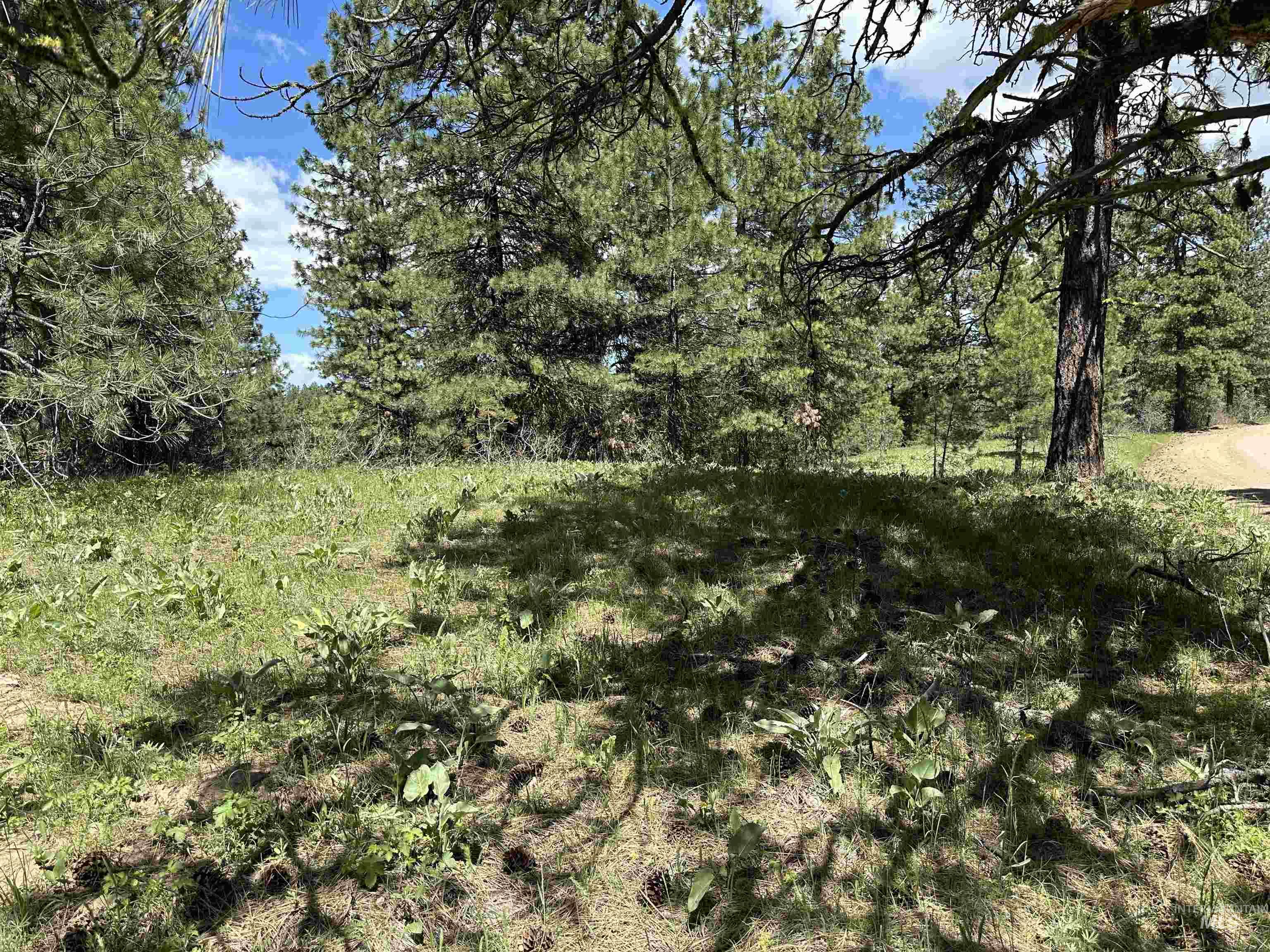 Tbd Cruickshank Rd Property Photo 4