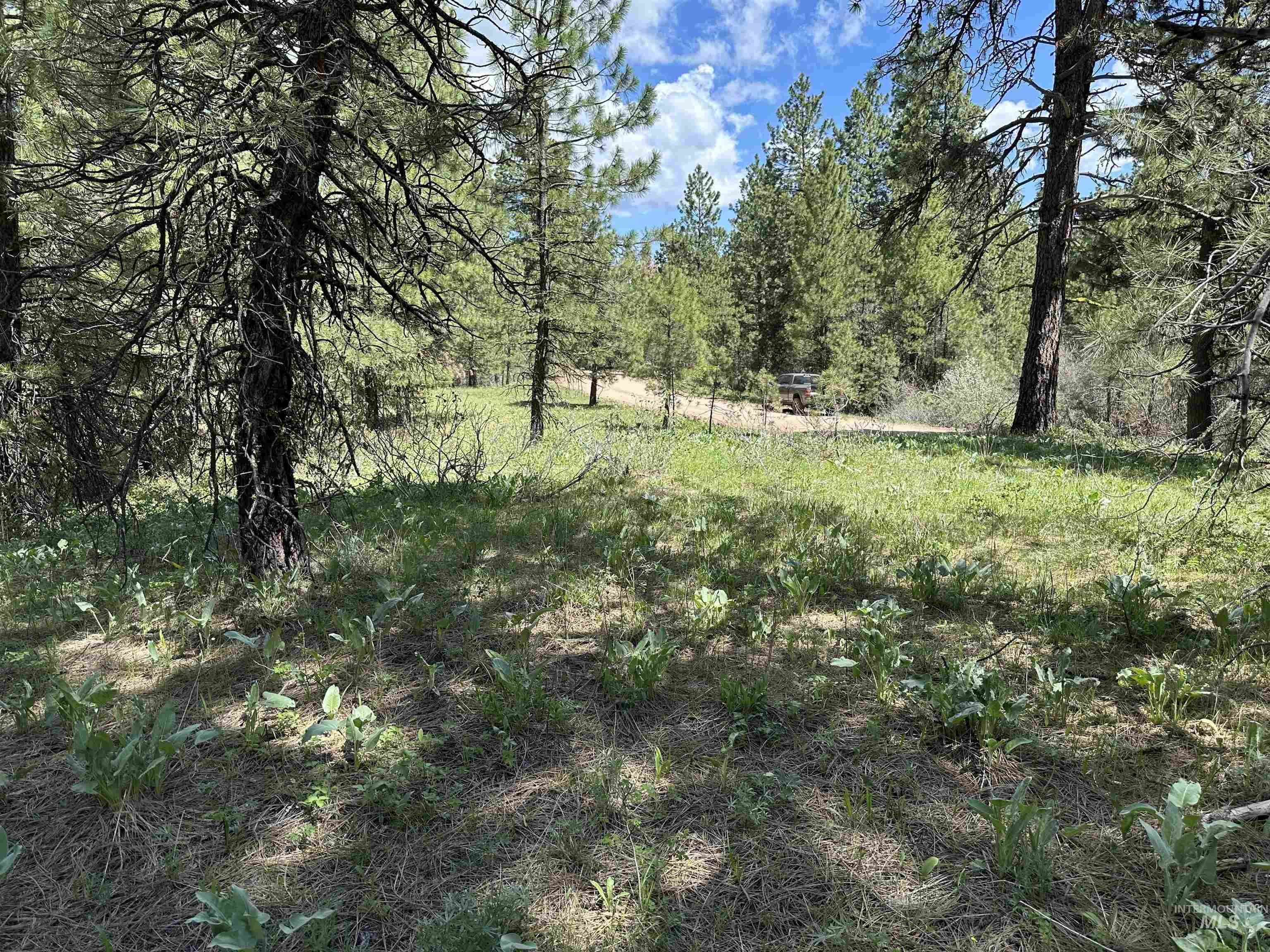 Tbd Cruickshank Rd Property Photo 5