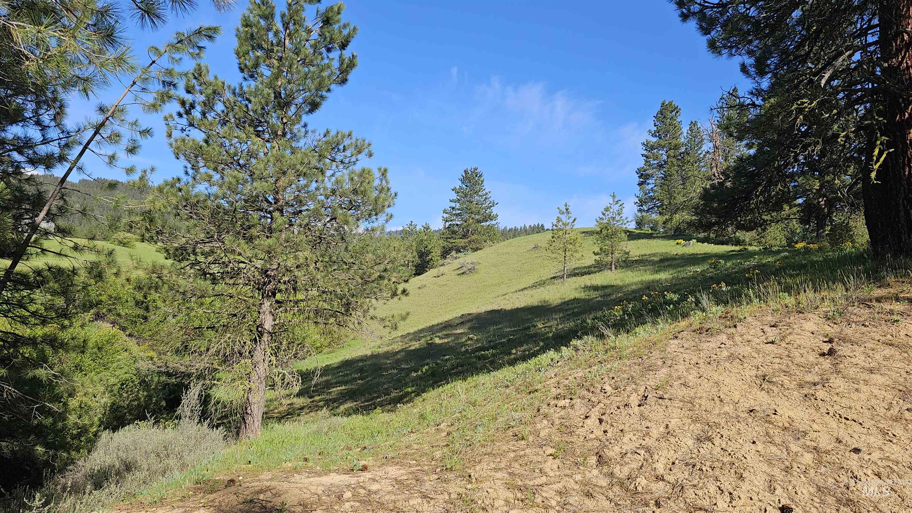 Lot 85 Alpine Ct. Property Photo 5