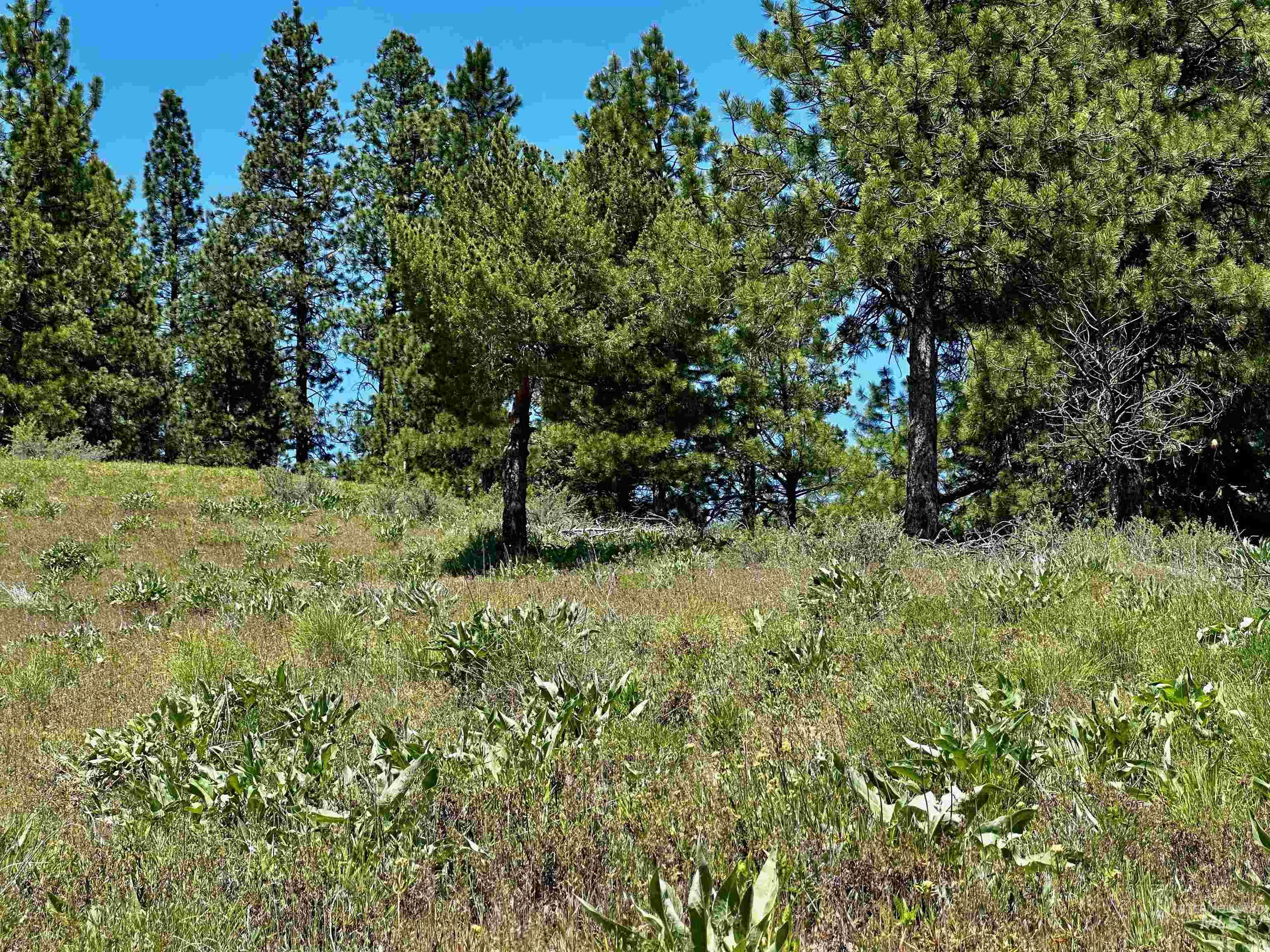 Tbd Aspen Ridge Rd Property Photo 2