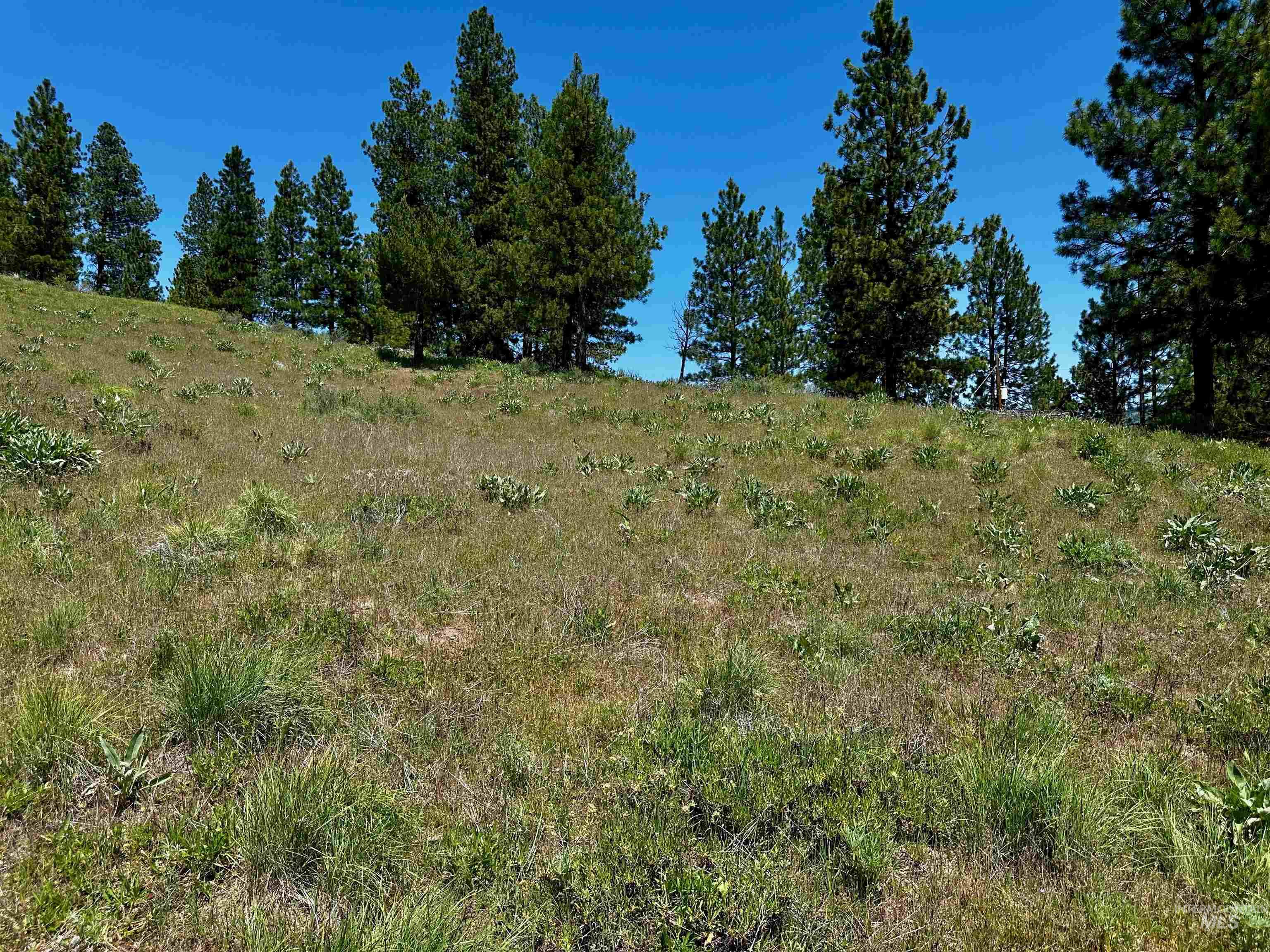 Tbd Aspen Ridge Rd Property Photo 3