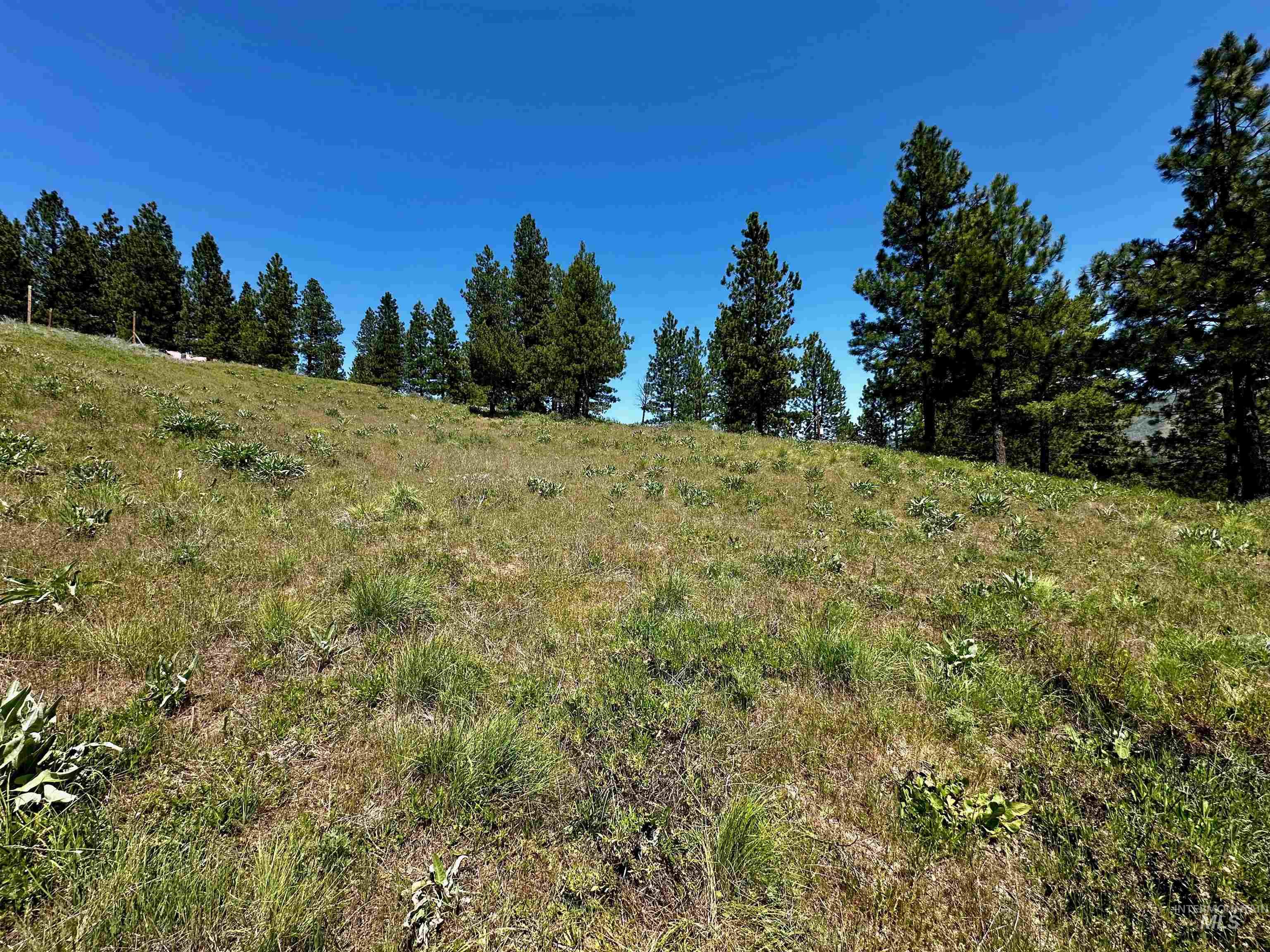Tbd Aspen Ridge Rd Property Photo 4