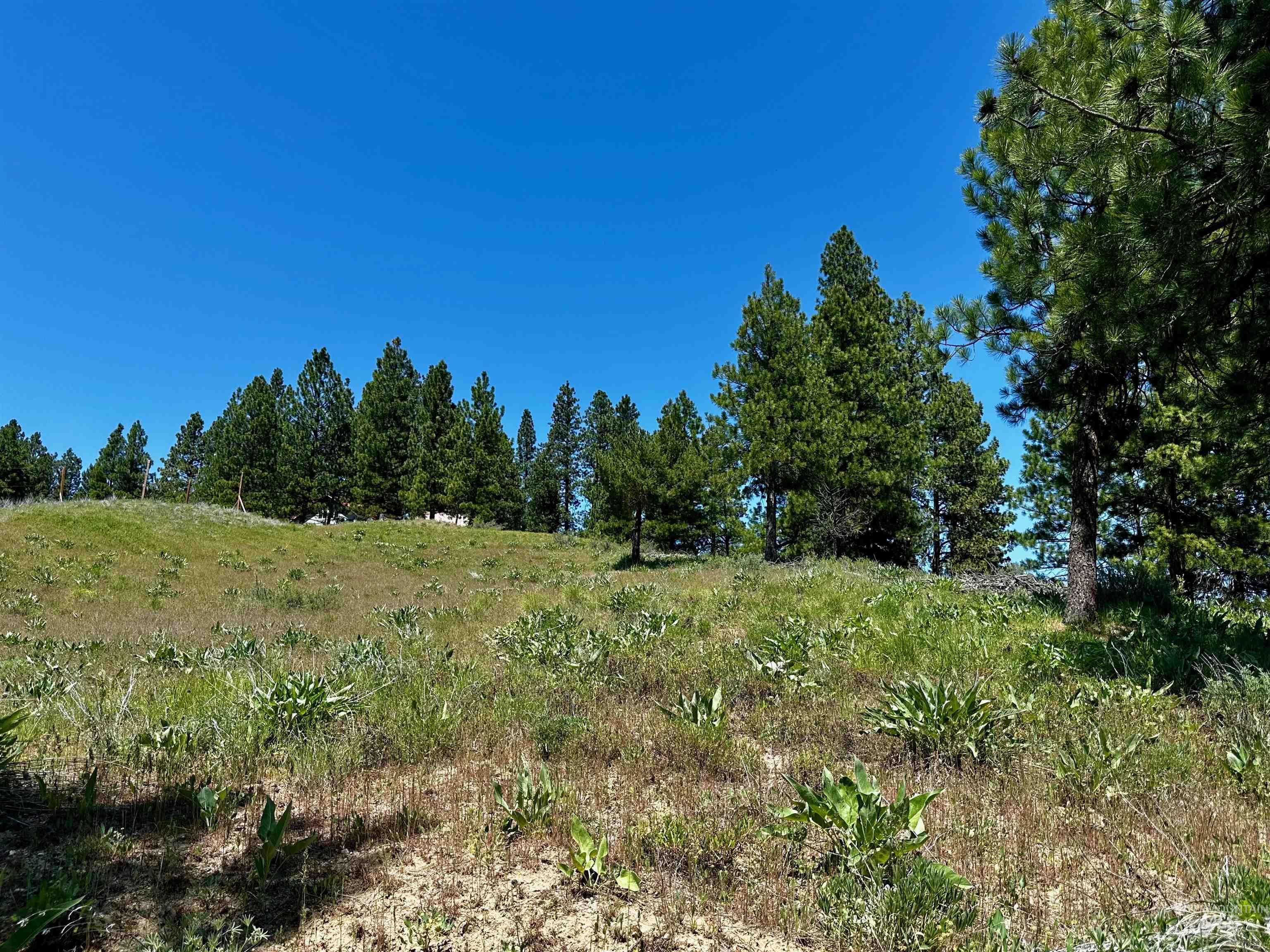 Tbd Aspen Ridge Rd Property Photo 5