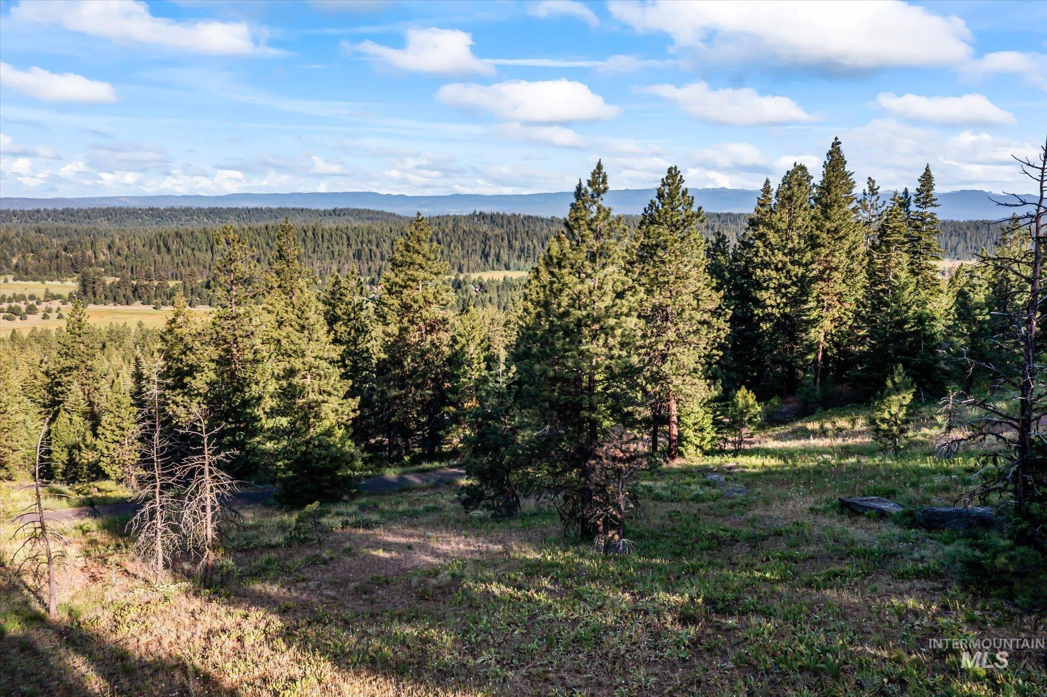Lot 15 Harrington Pl Property Photo 1