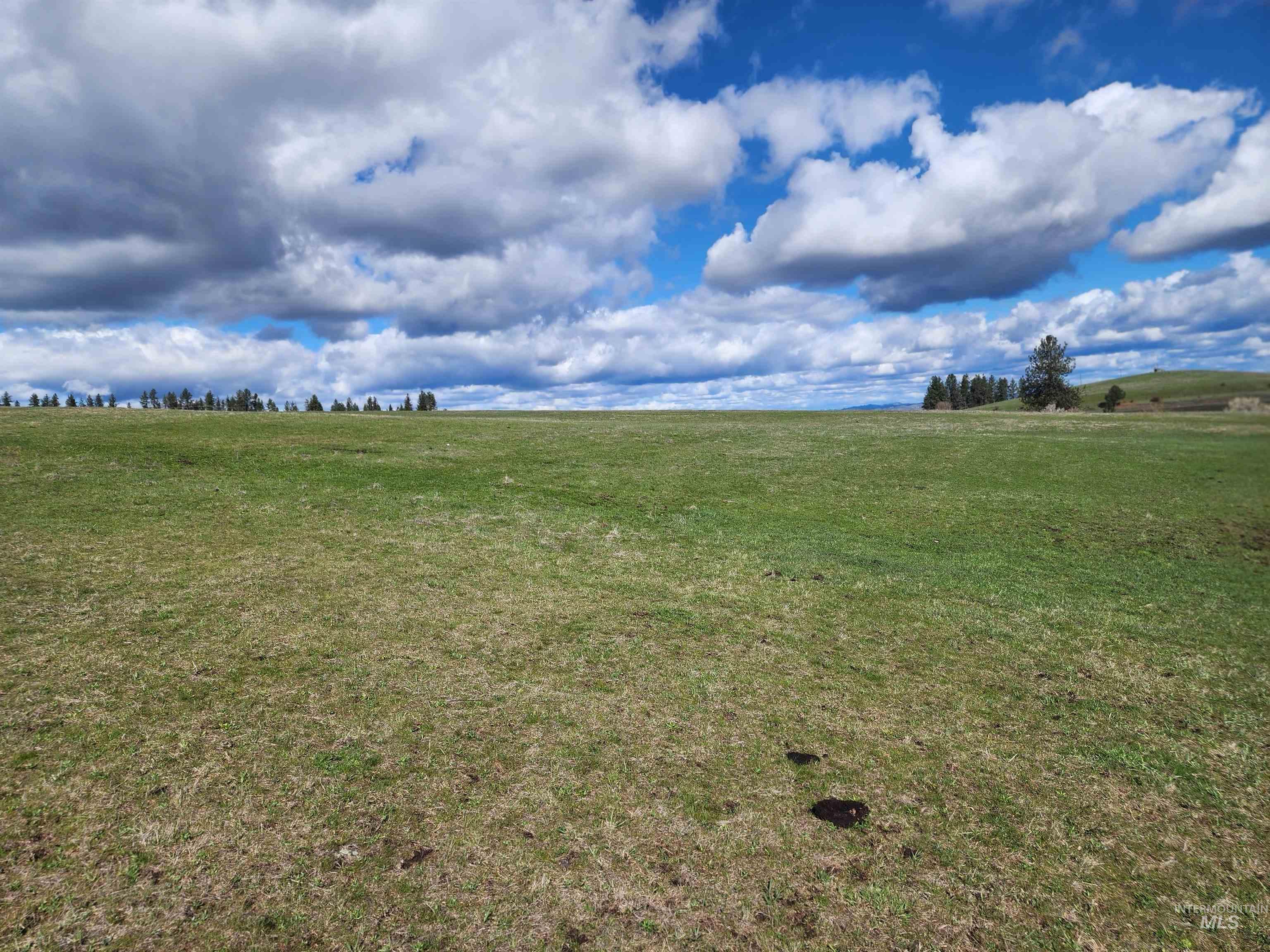 253 Brotnov Road Parcel 2 Property Photo 6
