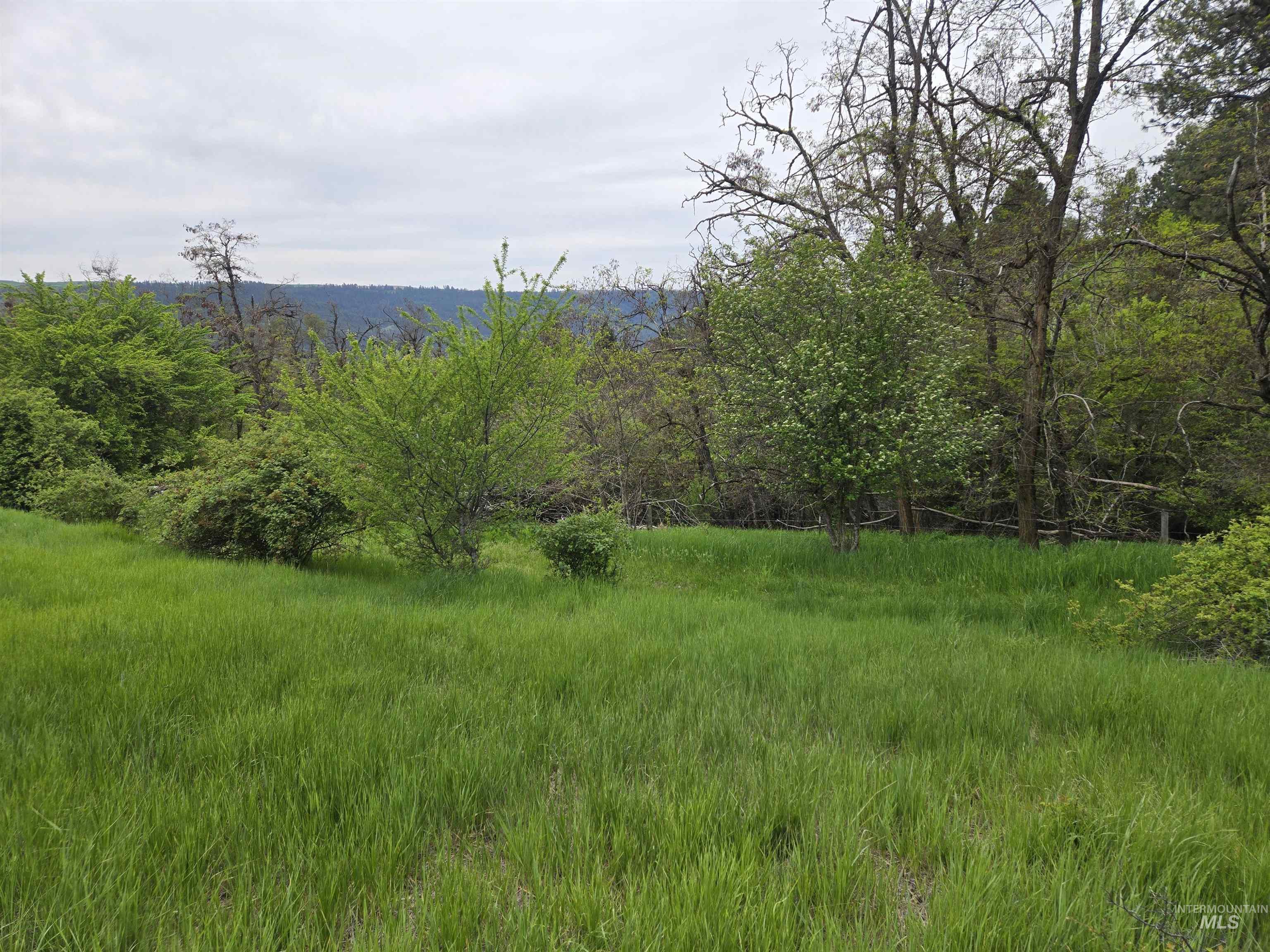 1521 Summitview Drive Property Photo 29