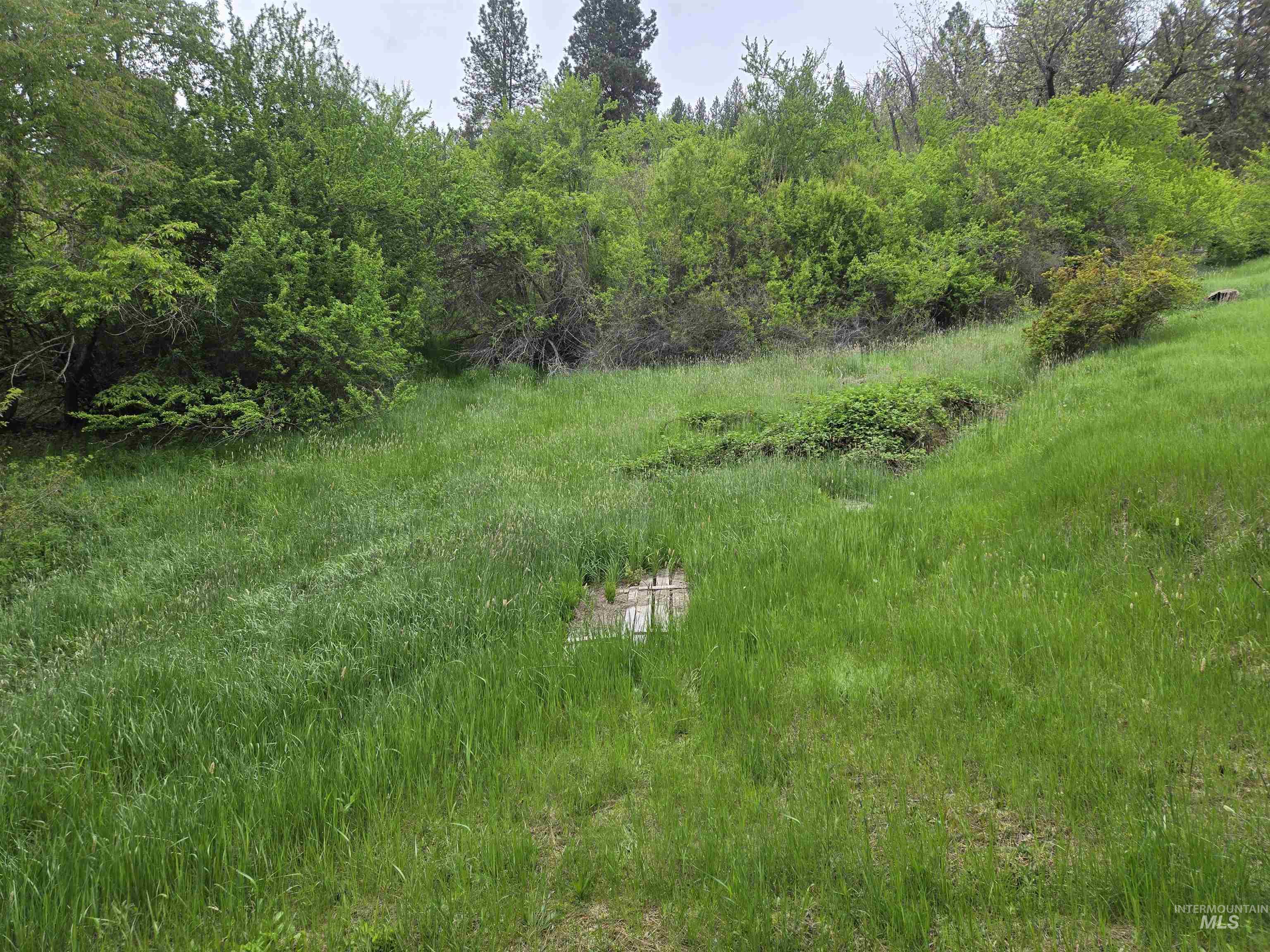 1521 Summitview Drive Property Photo 33
