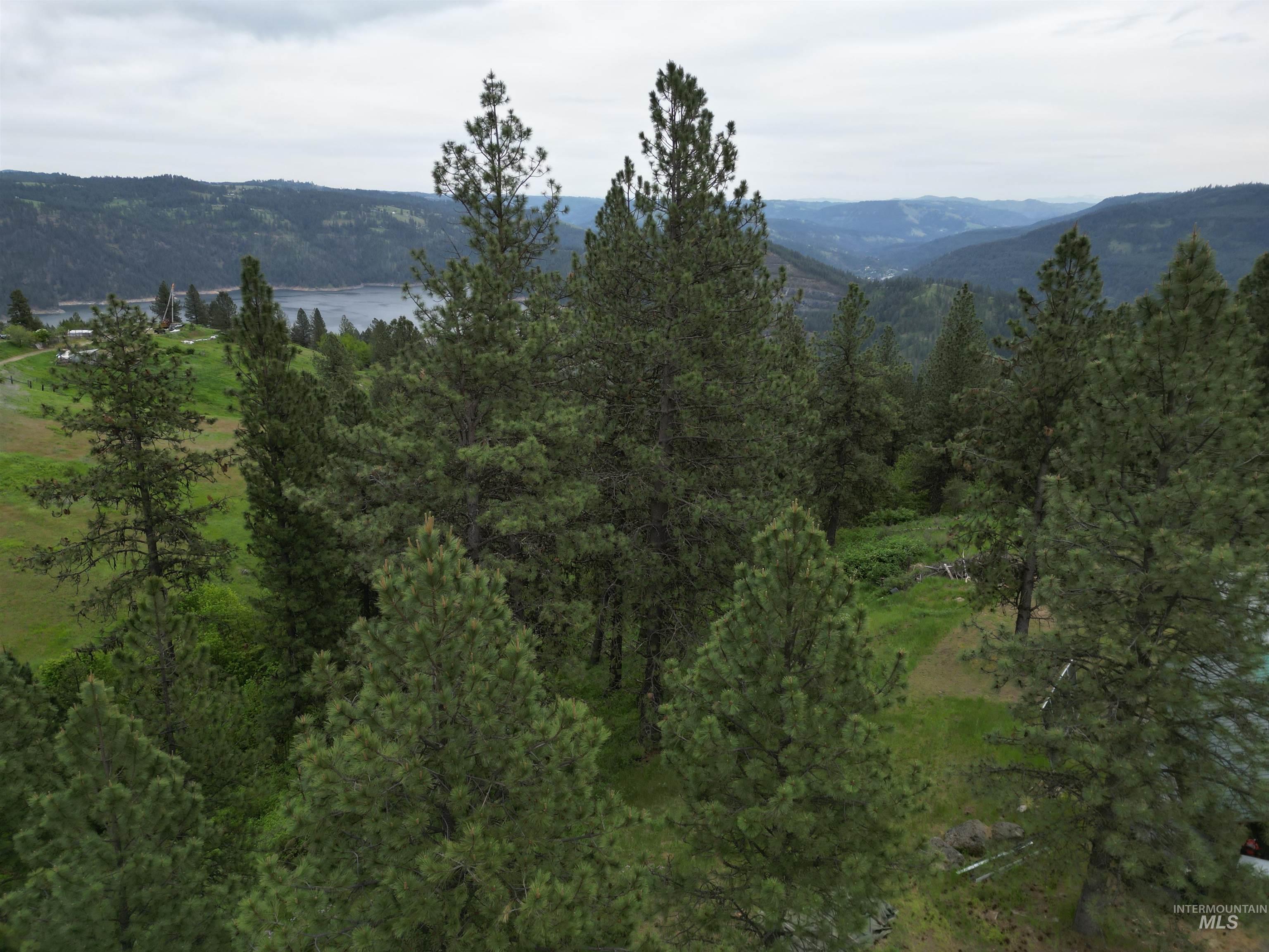 1510 Summitview Driave Property Photo 23