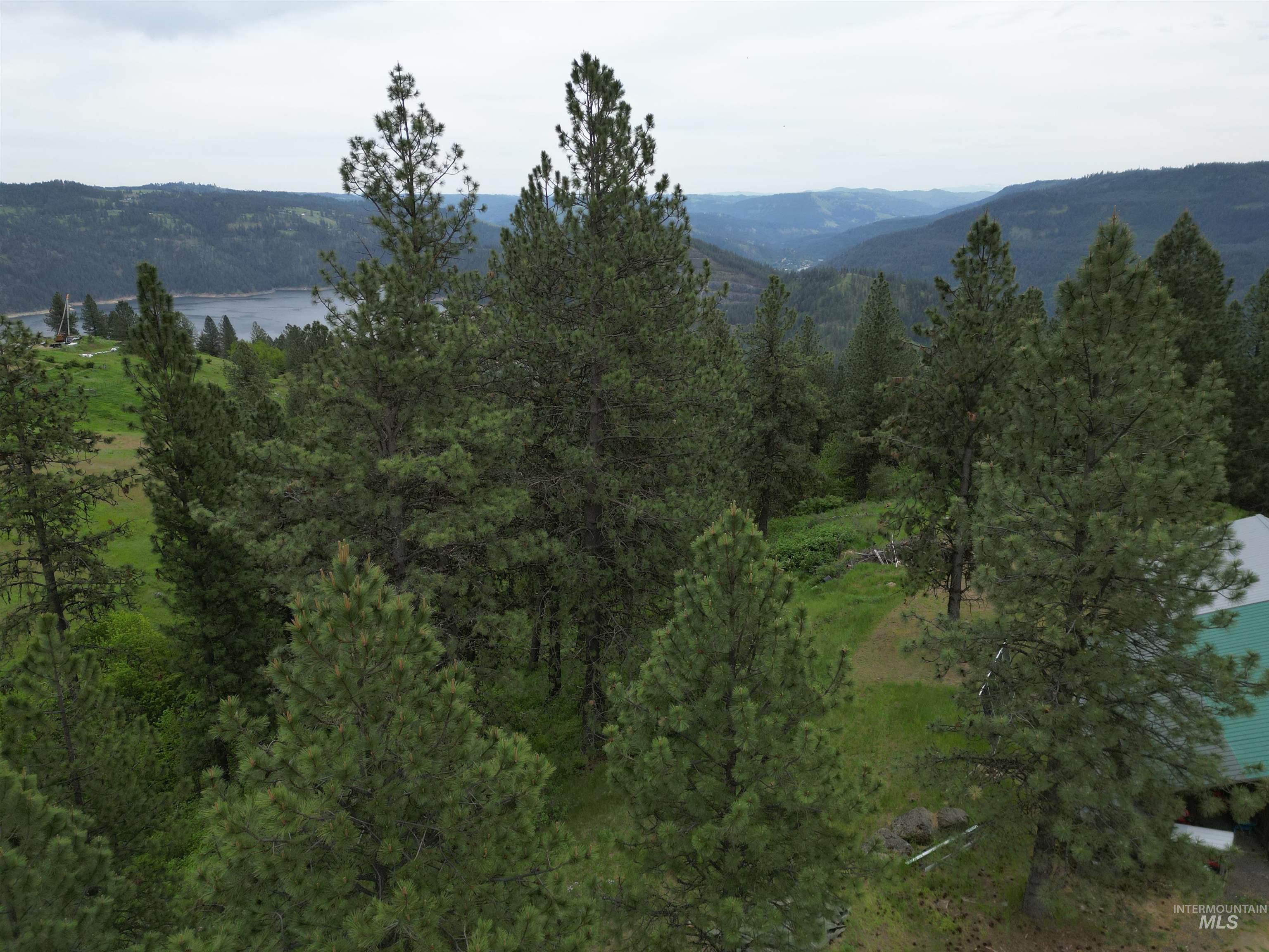 1510 Summitview Driave Property Photo 24